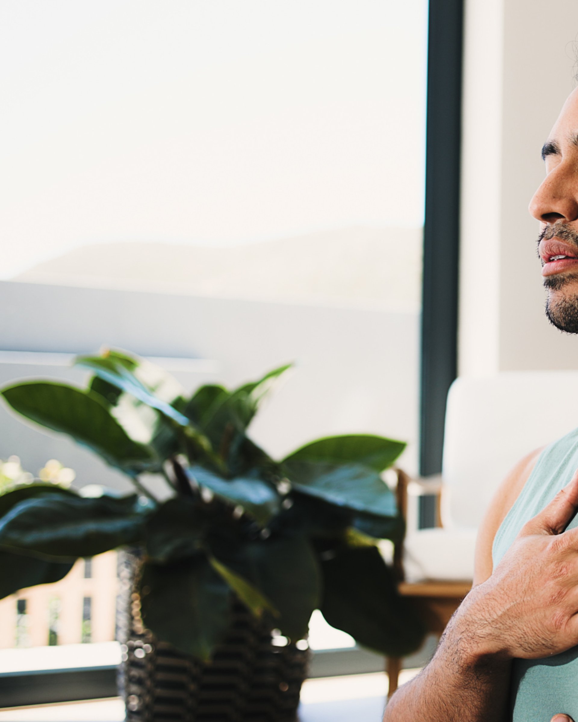 a shadow of a plant on a white sheet