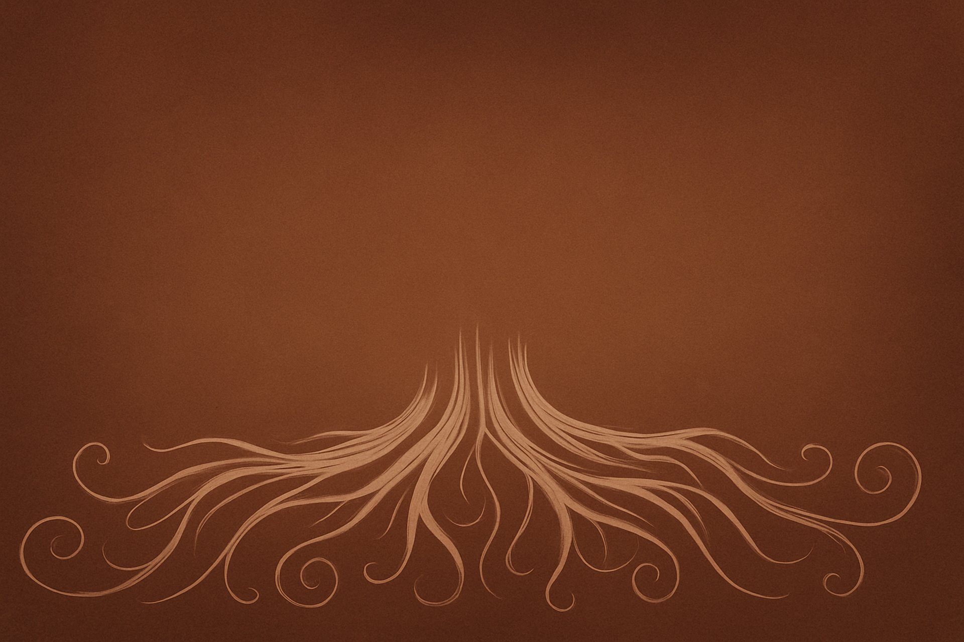 a bare tree with no leaves at night