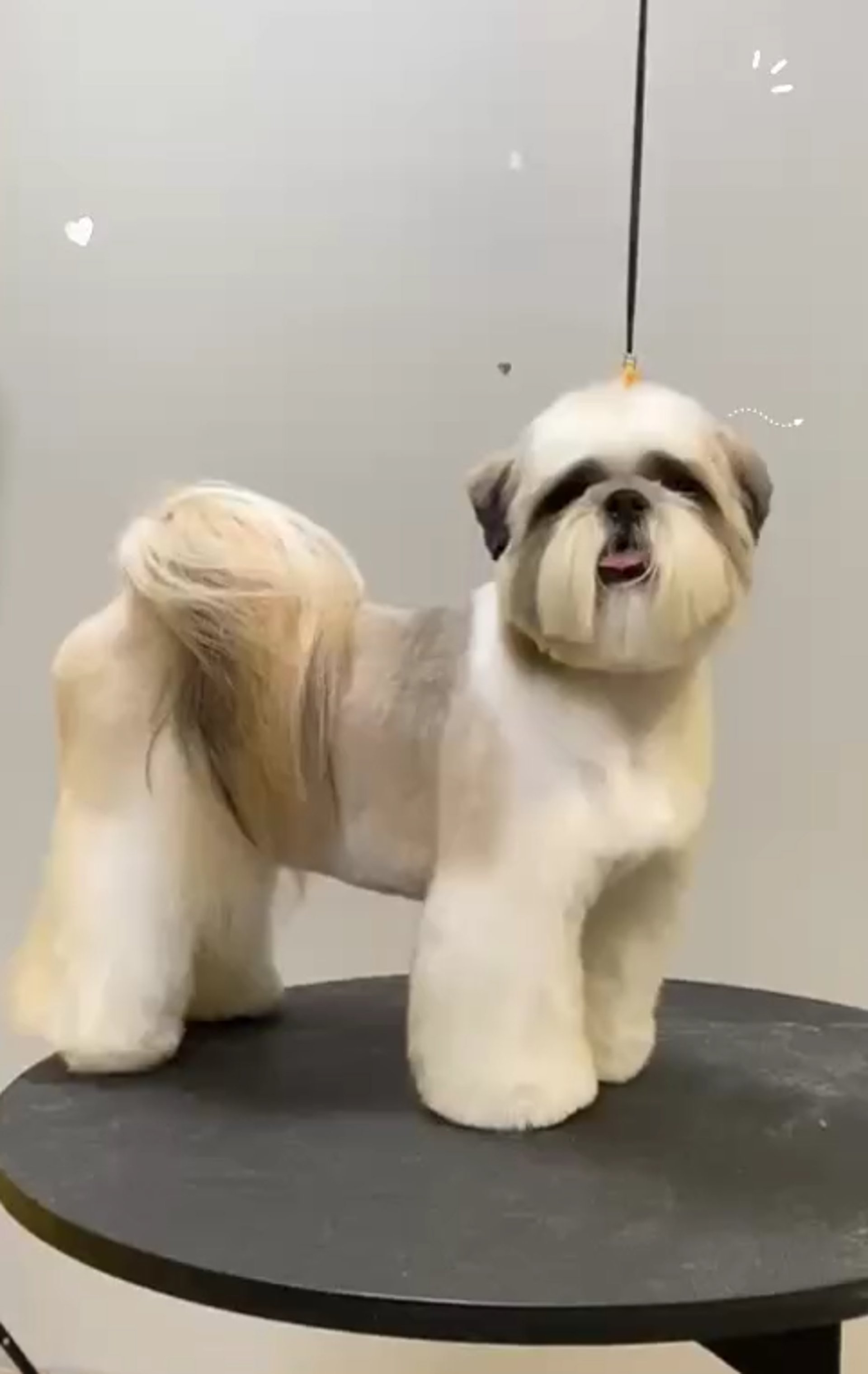 woman wearing yellow long-sleeved dress under white clouds and blue sky during daytime