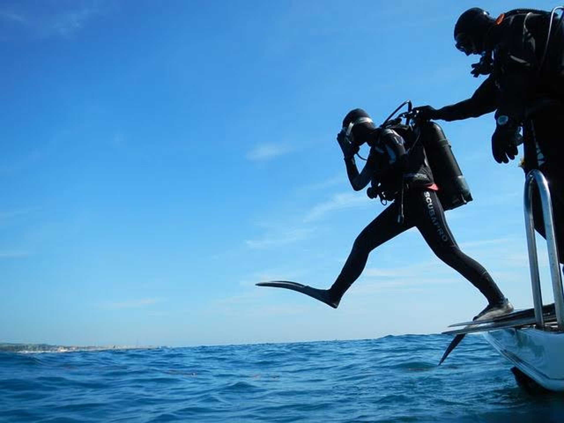 female diver near sea sponge during daytime
