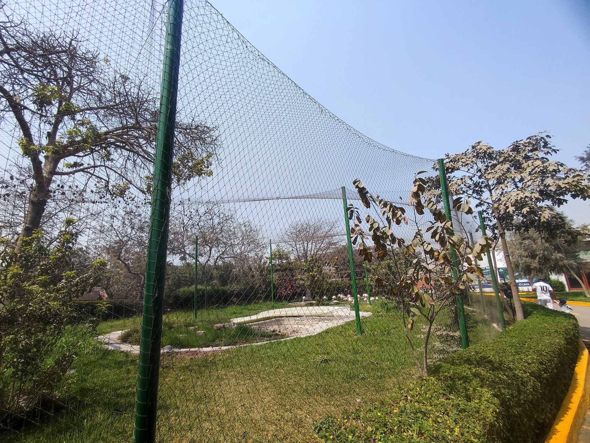 mountain range under blue sky