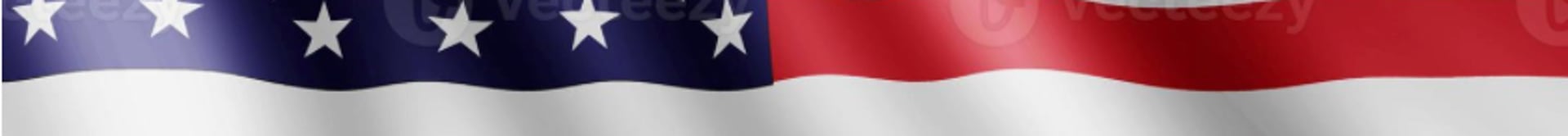 person holding USA flag