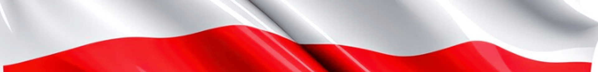 person holding USA flag