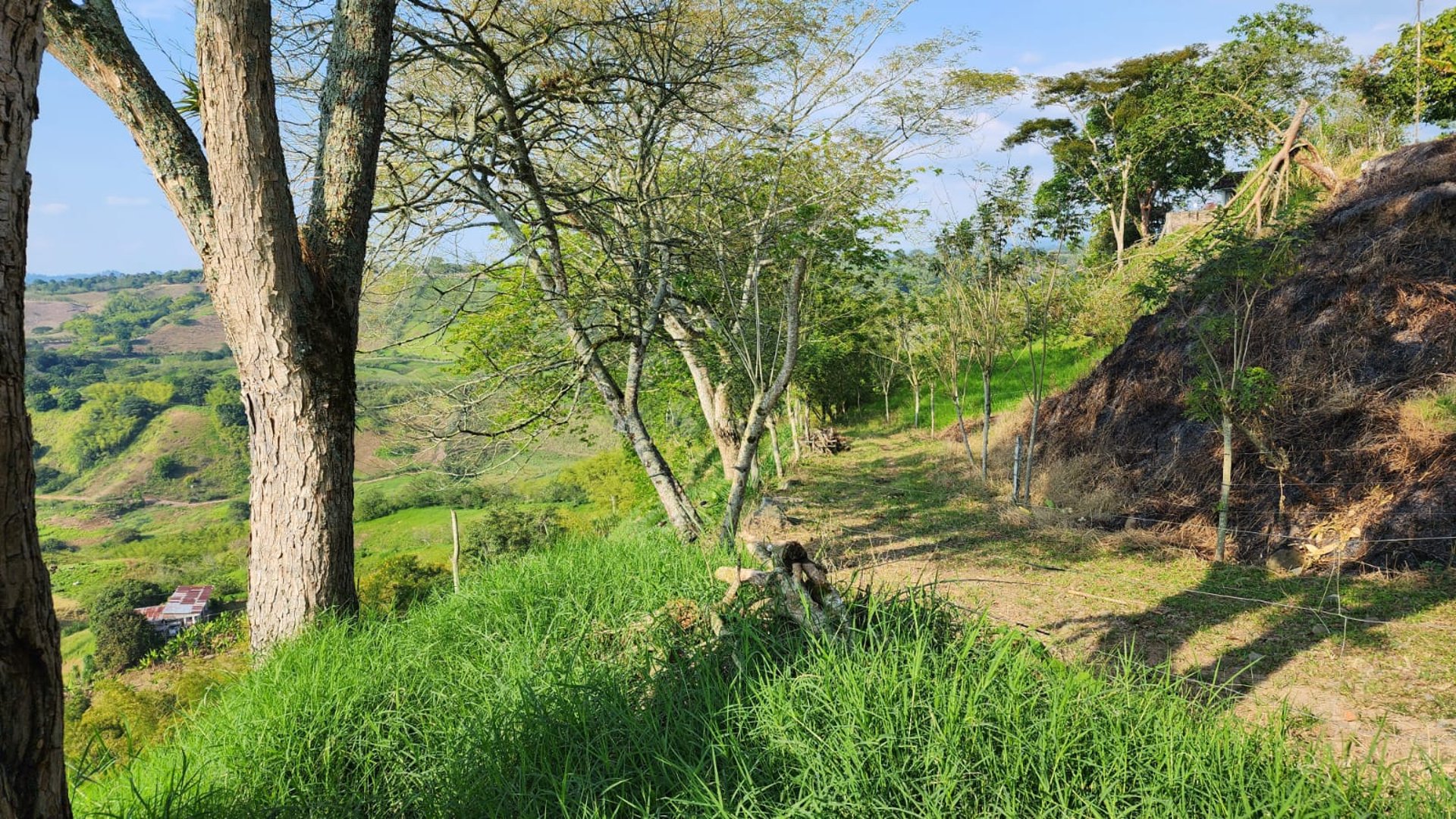 gray computer monitor
