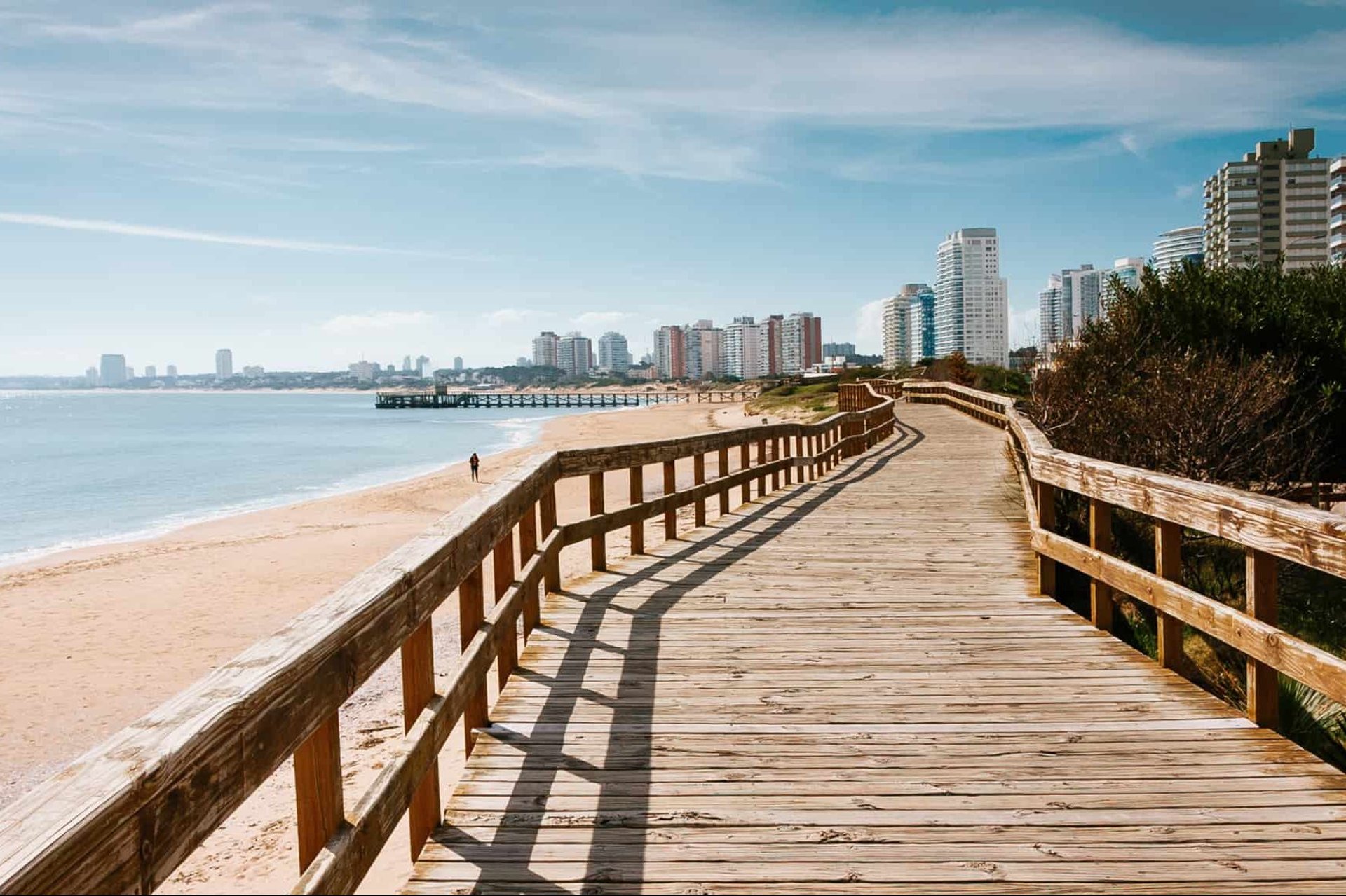 brown wooden dock on sea during daytime