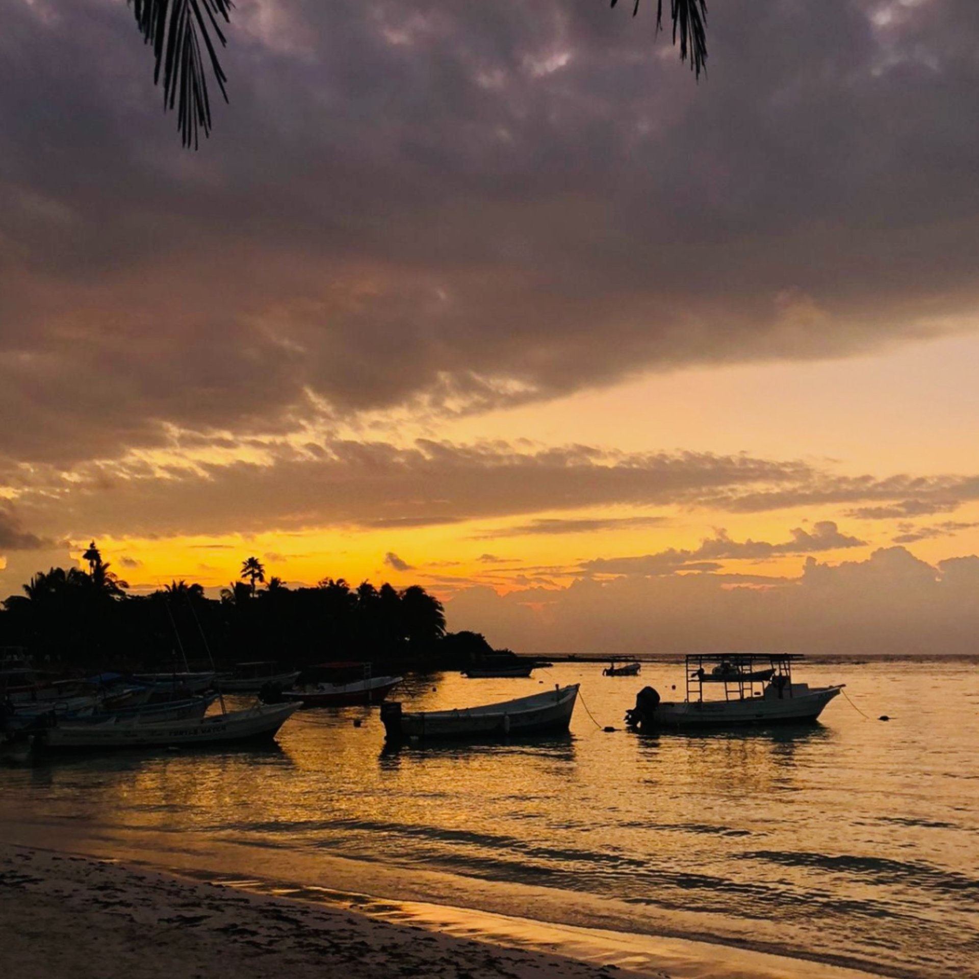 gray computer monitor