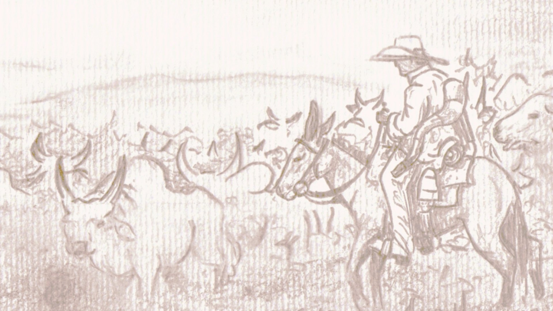 white cow on brown field during daytime