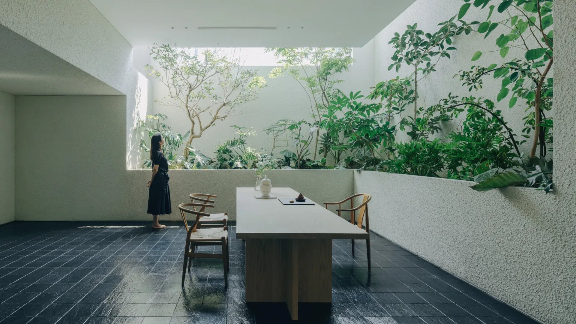 green plant on white concrete wall