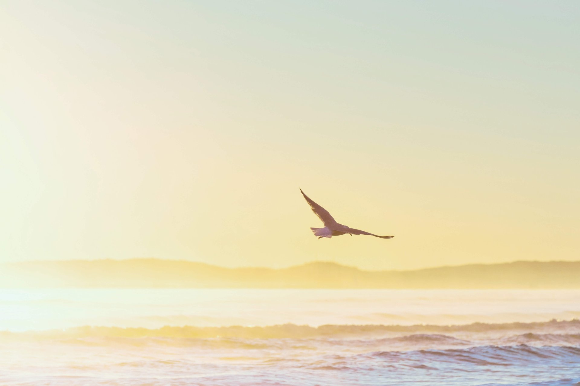 white ceramic sink with stainless steel faucet
