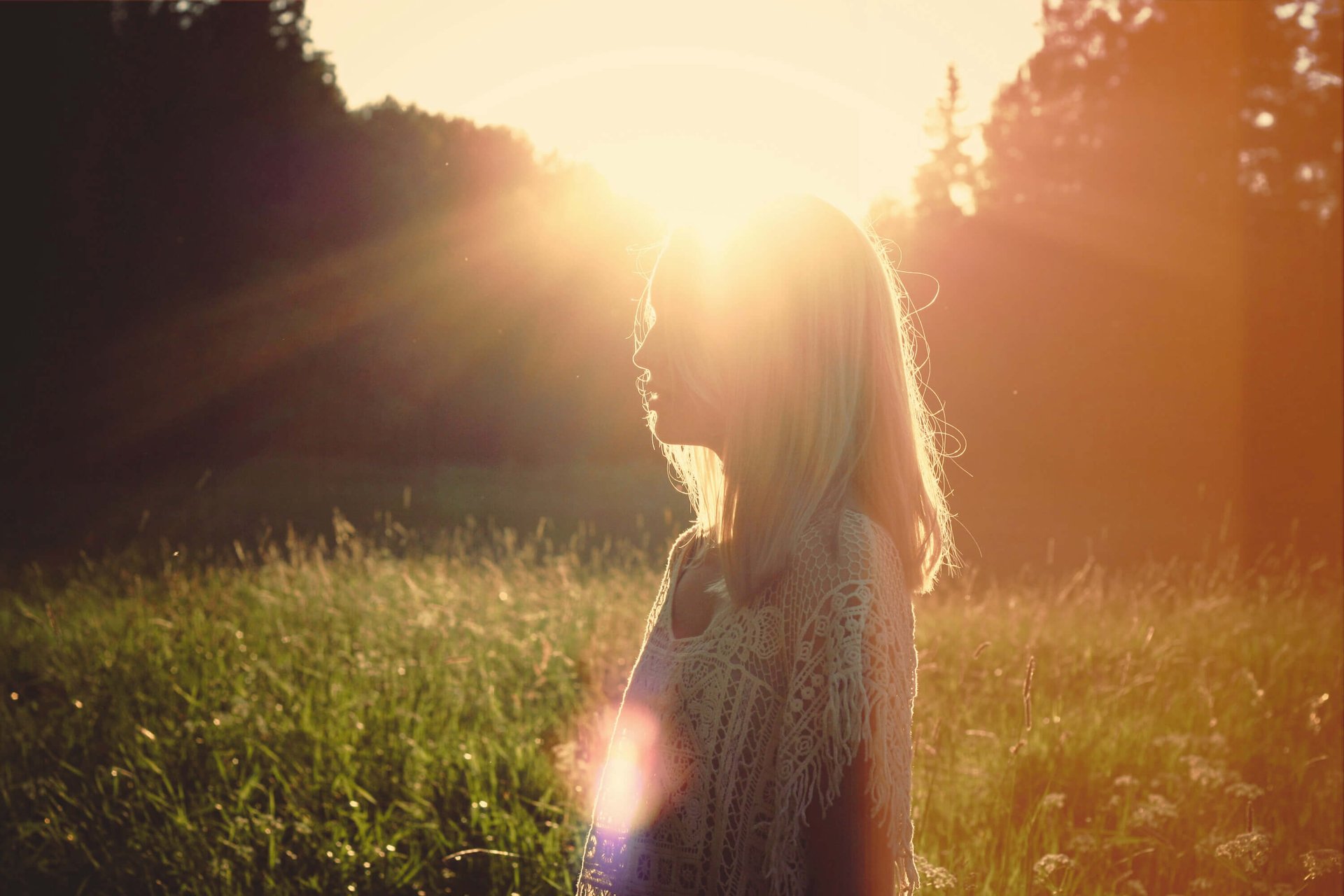 a bunch of white flowers sitting in front of a body of water