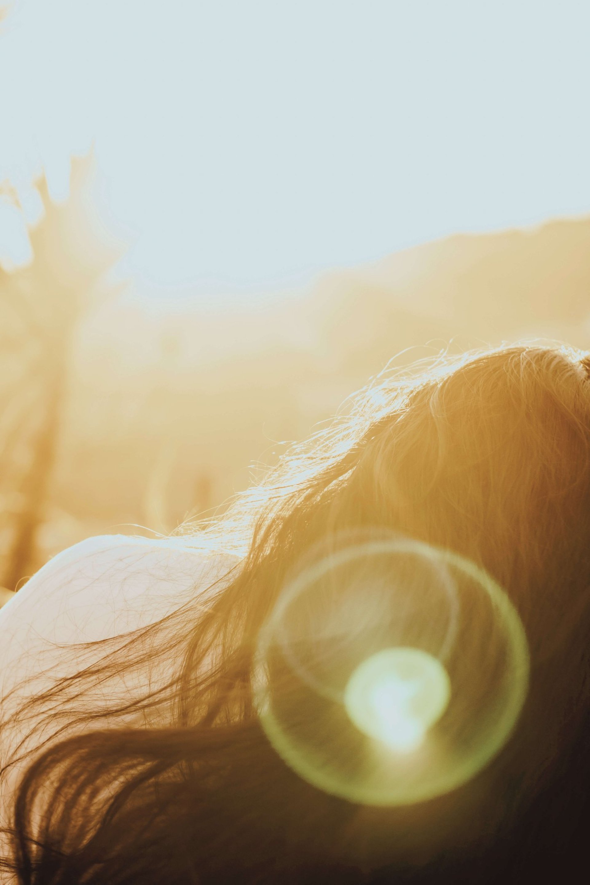 a bunch of white flowers sitting in front of a body of water