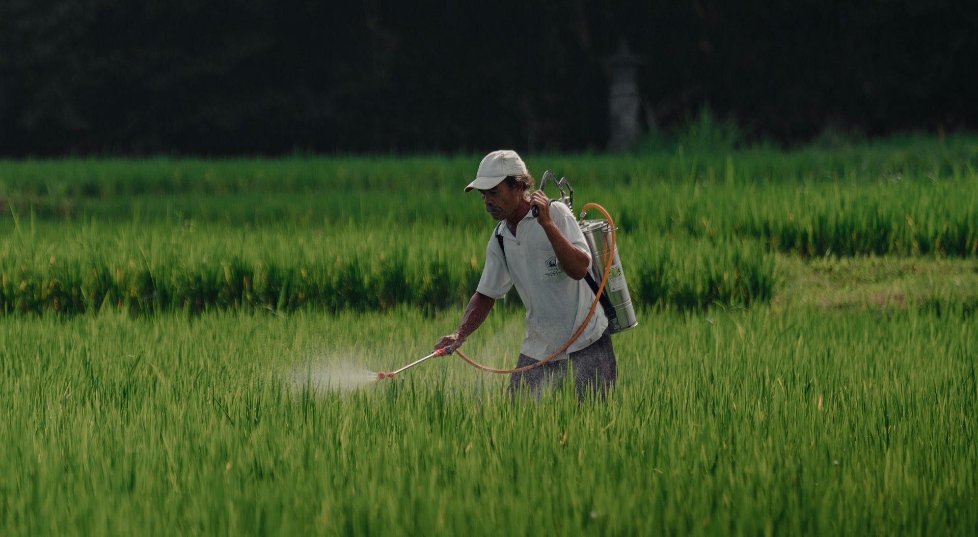 a man in a field spraying pest from a sprayer