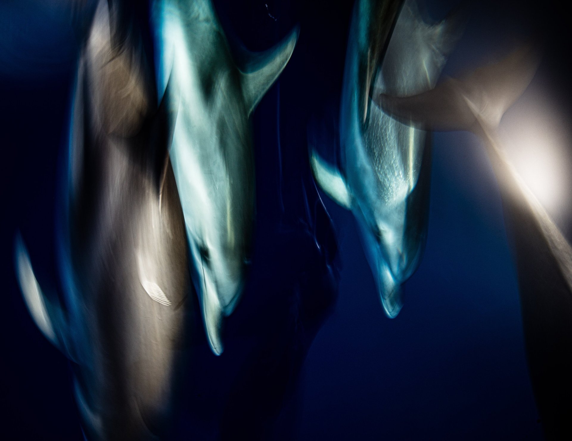 calm body of water during golden hour