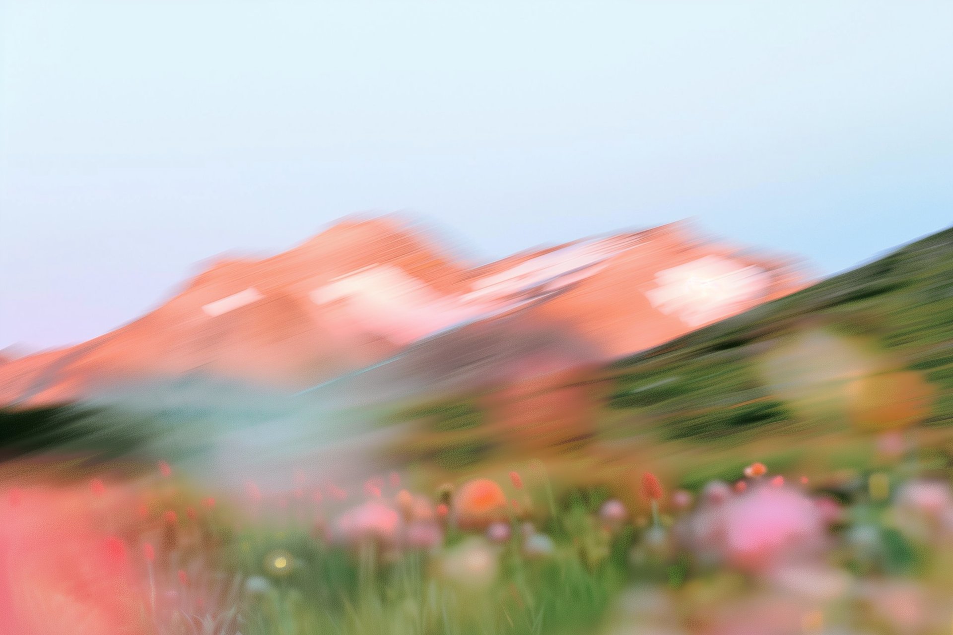 person carrying yellow and black backpack walking between green plants