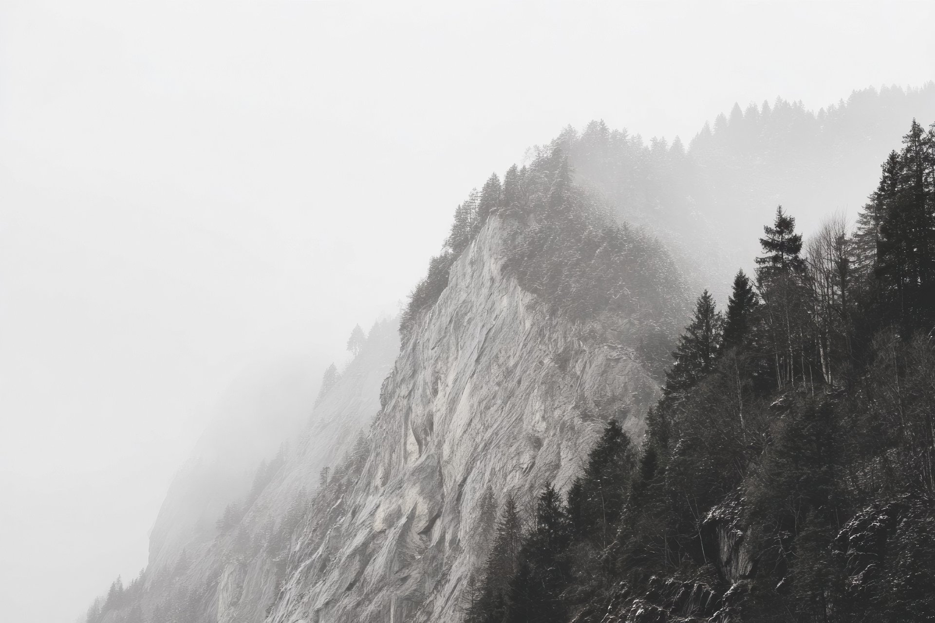calm body of water during golden hour