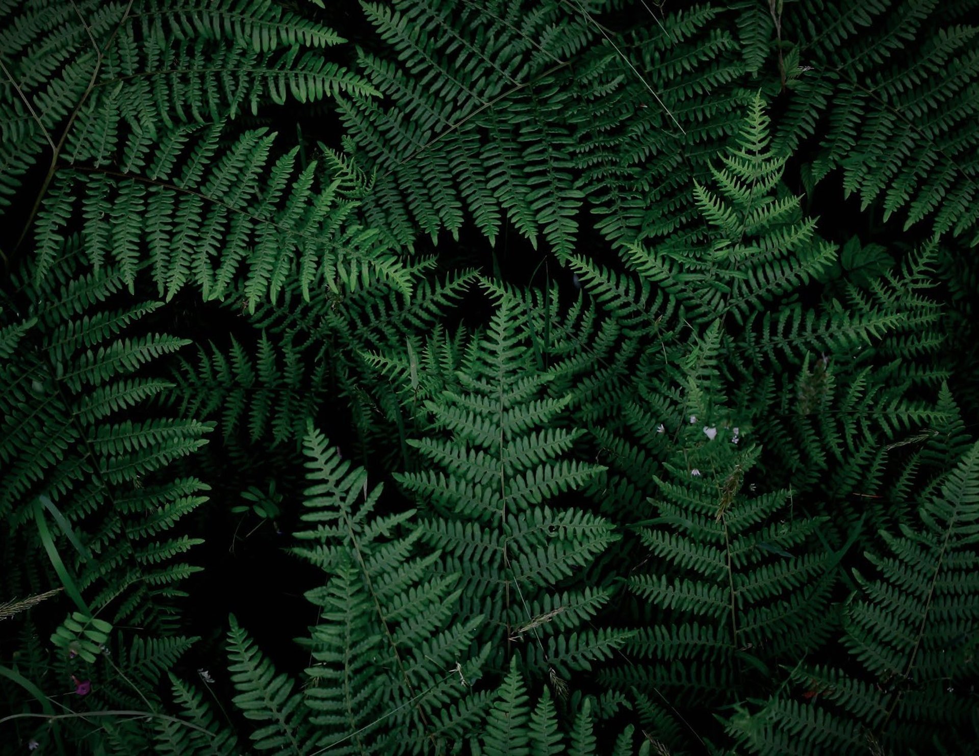 an abstract photo of a curved building with a blue sky in the background