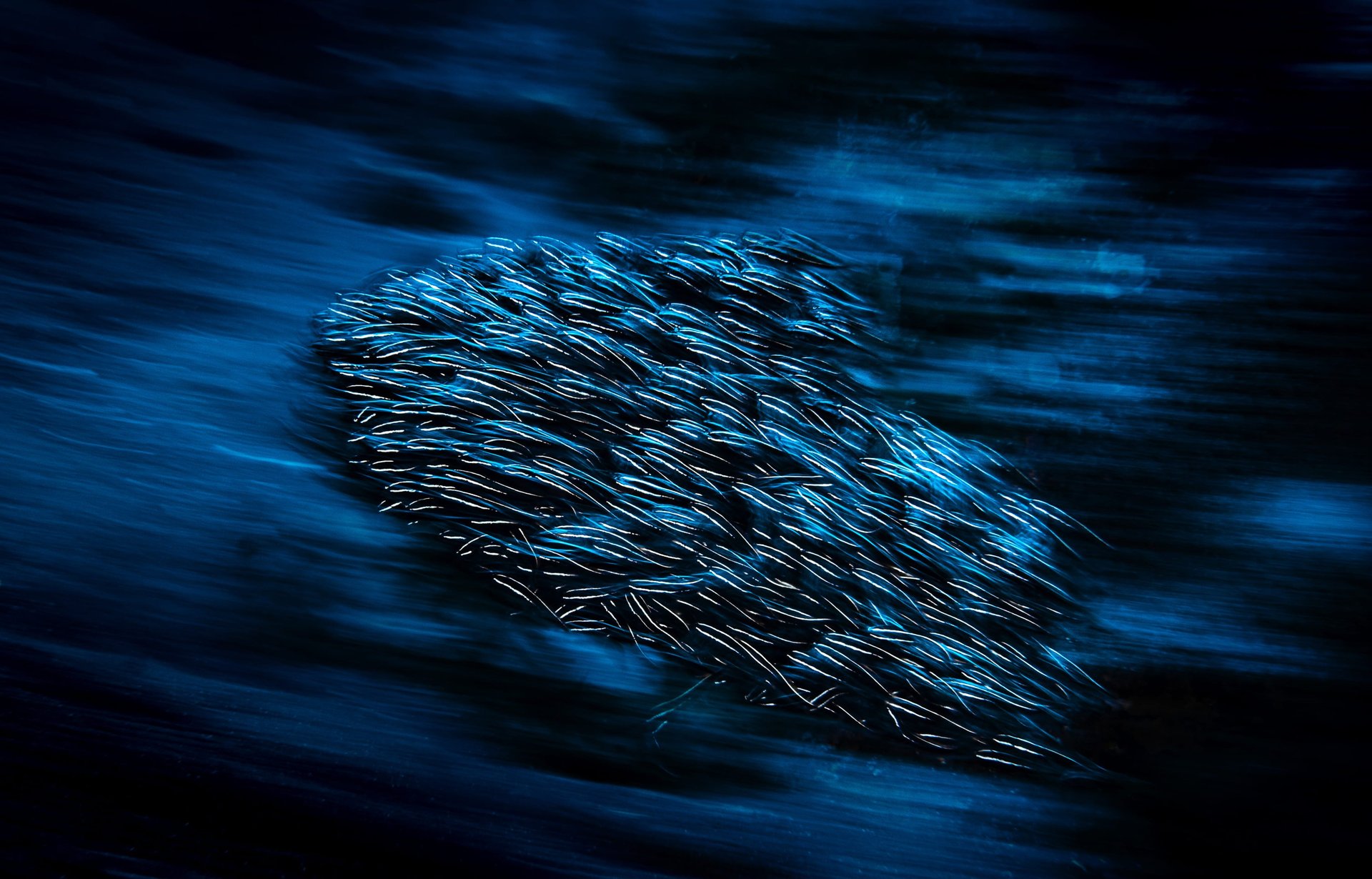 black and white bed linen