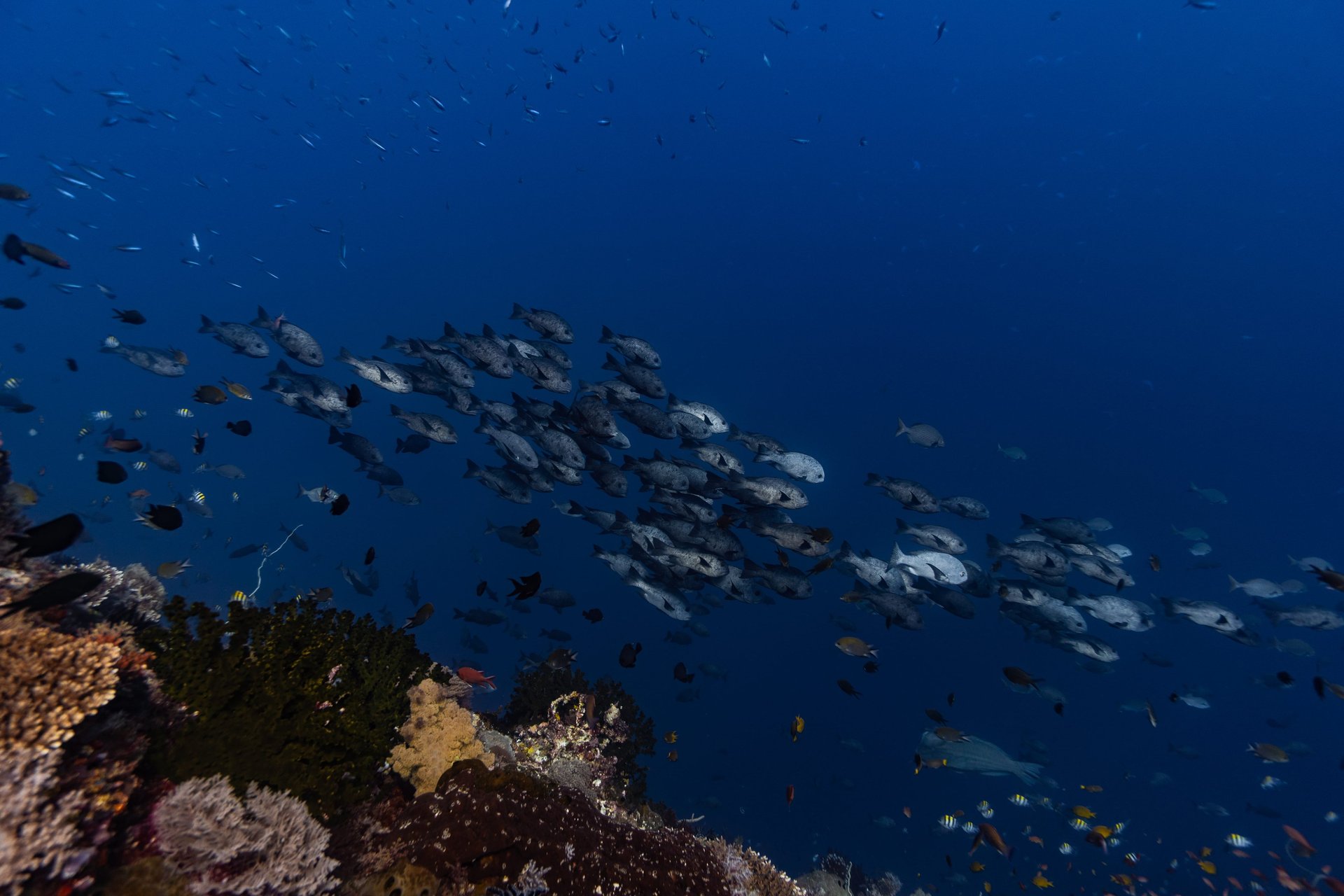 black blue and yellow textile