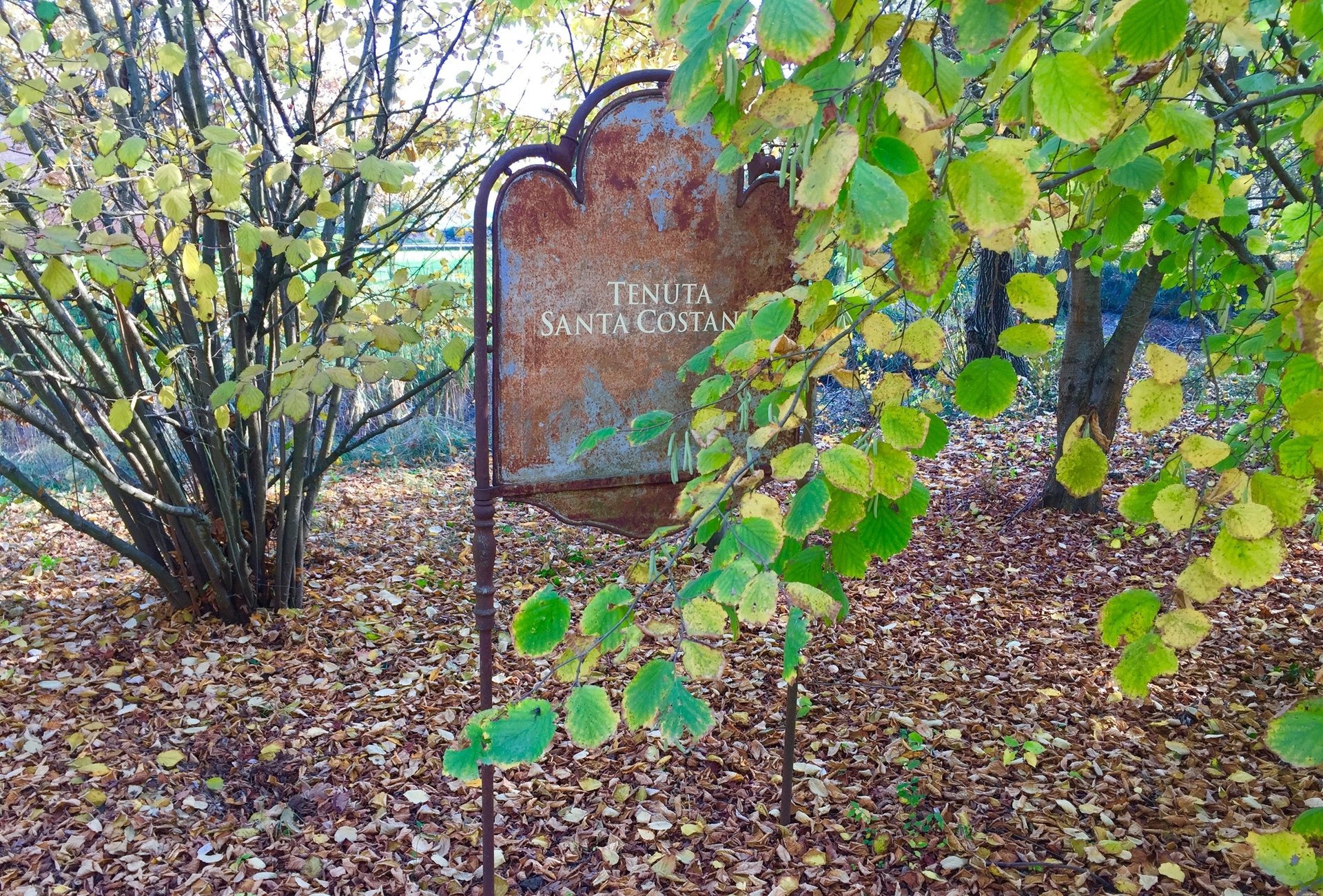 woman wearing yellow long-sleeved dress under white clouds and blue sky during daytime