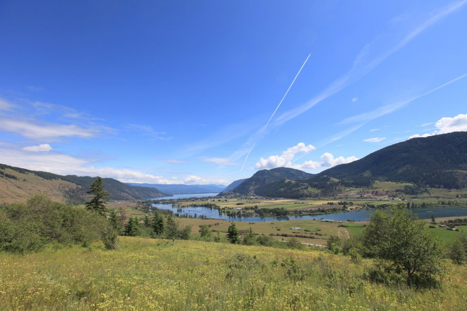 gray computer monitor