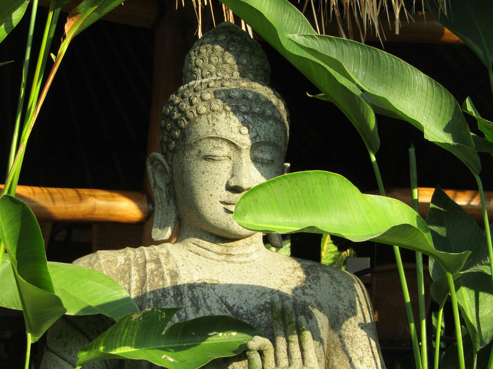 Elevate & Shine Hero picture of a stone Buddha statue sitting in silence behind banana leaves