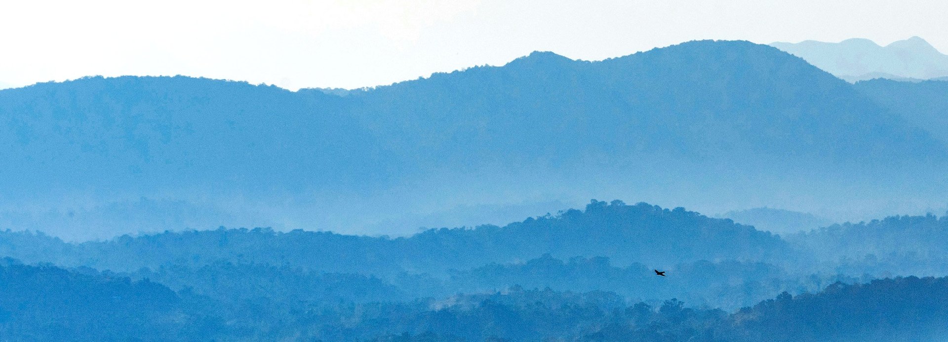 Landscape photo of mountains in blue tones with the silhouette of a small bird in the foreground