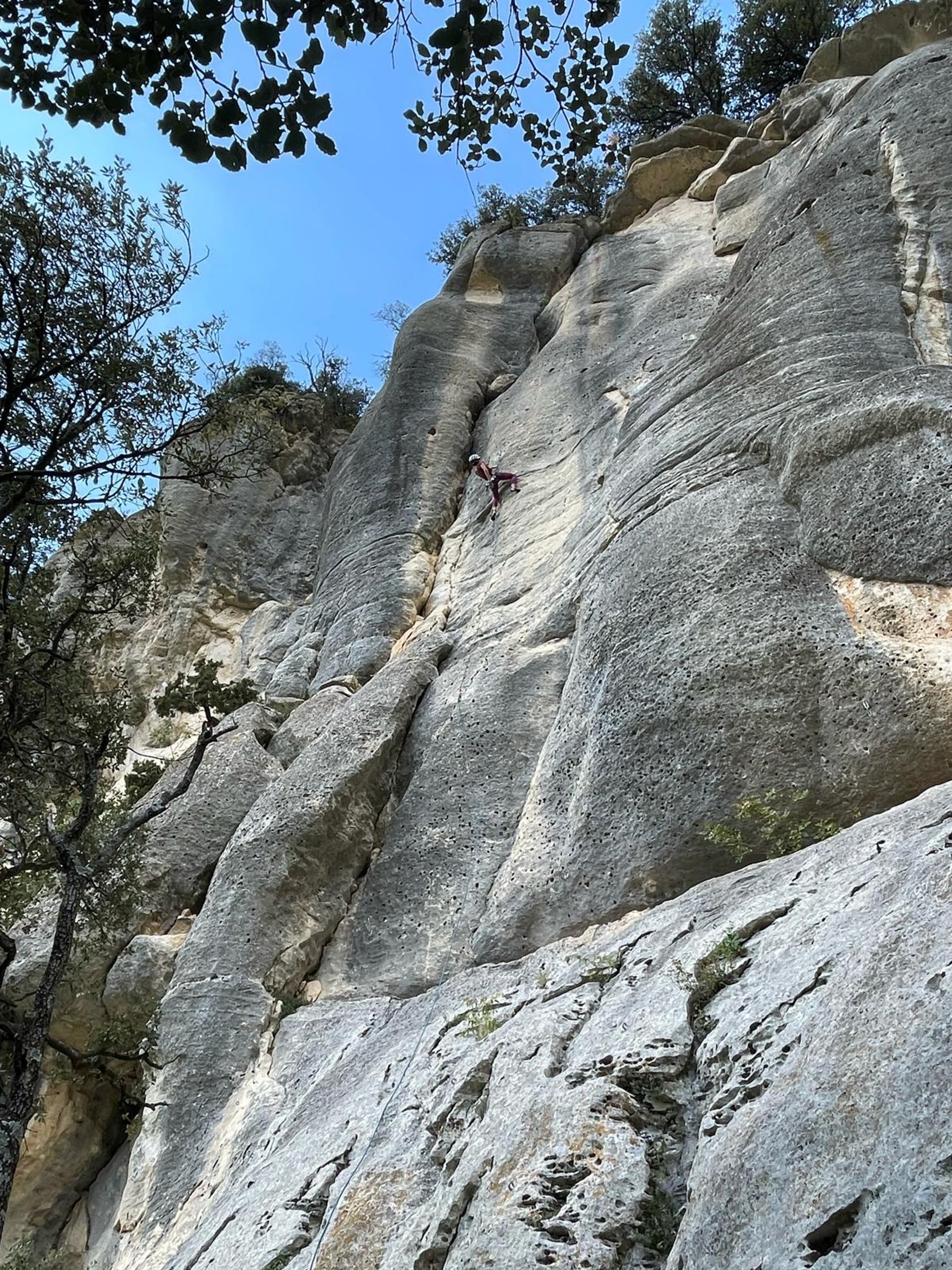 black nikon dslr camera on white printer paper