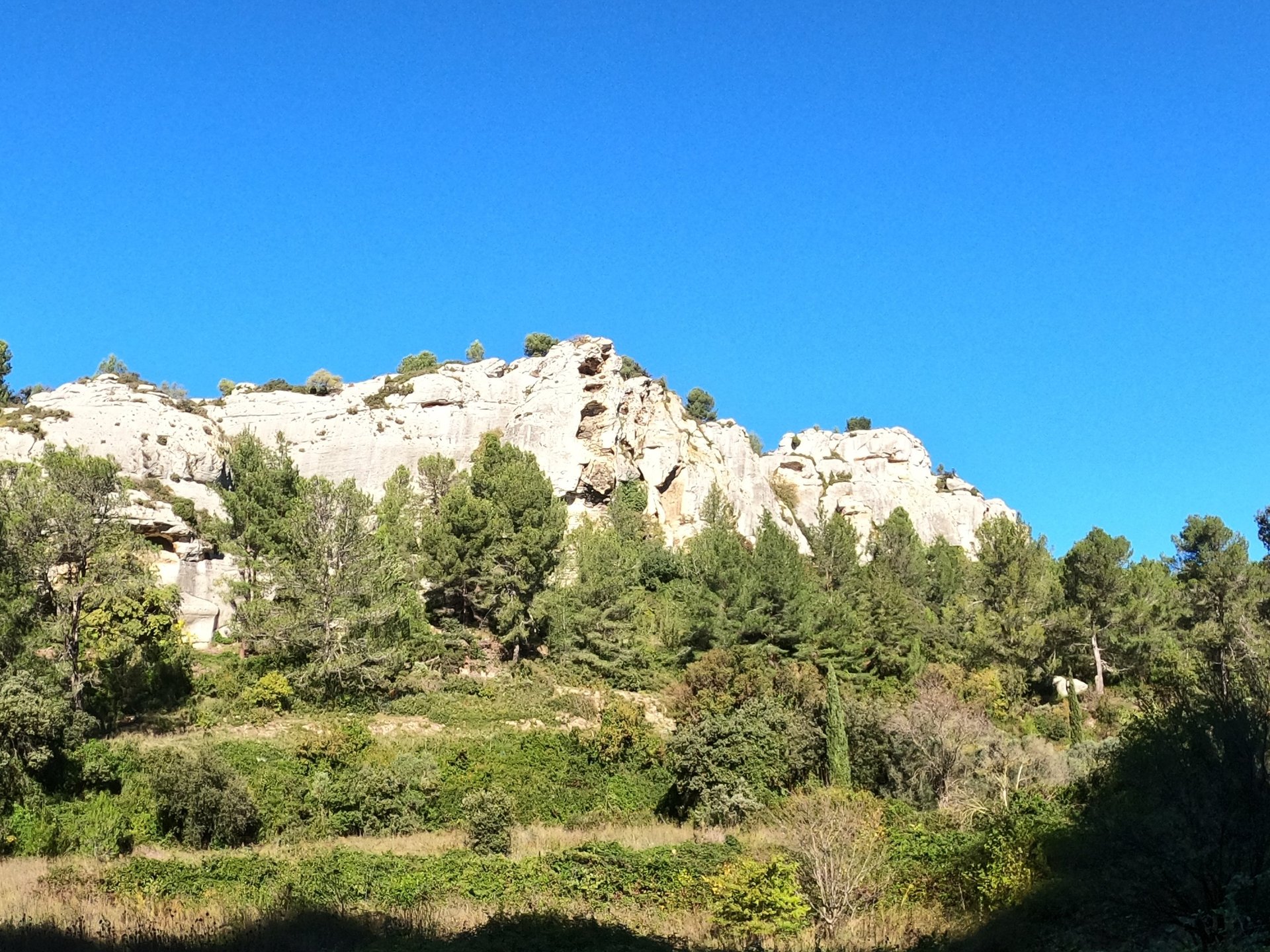 black nikon dslr camera on white printer paper