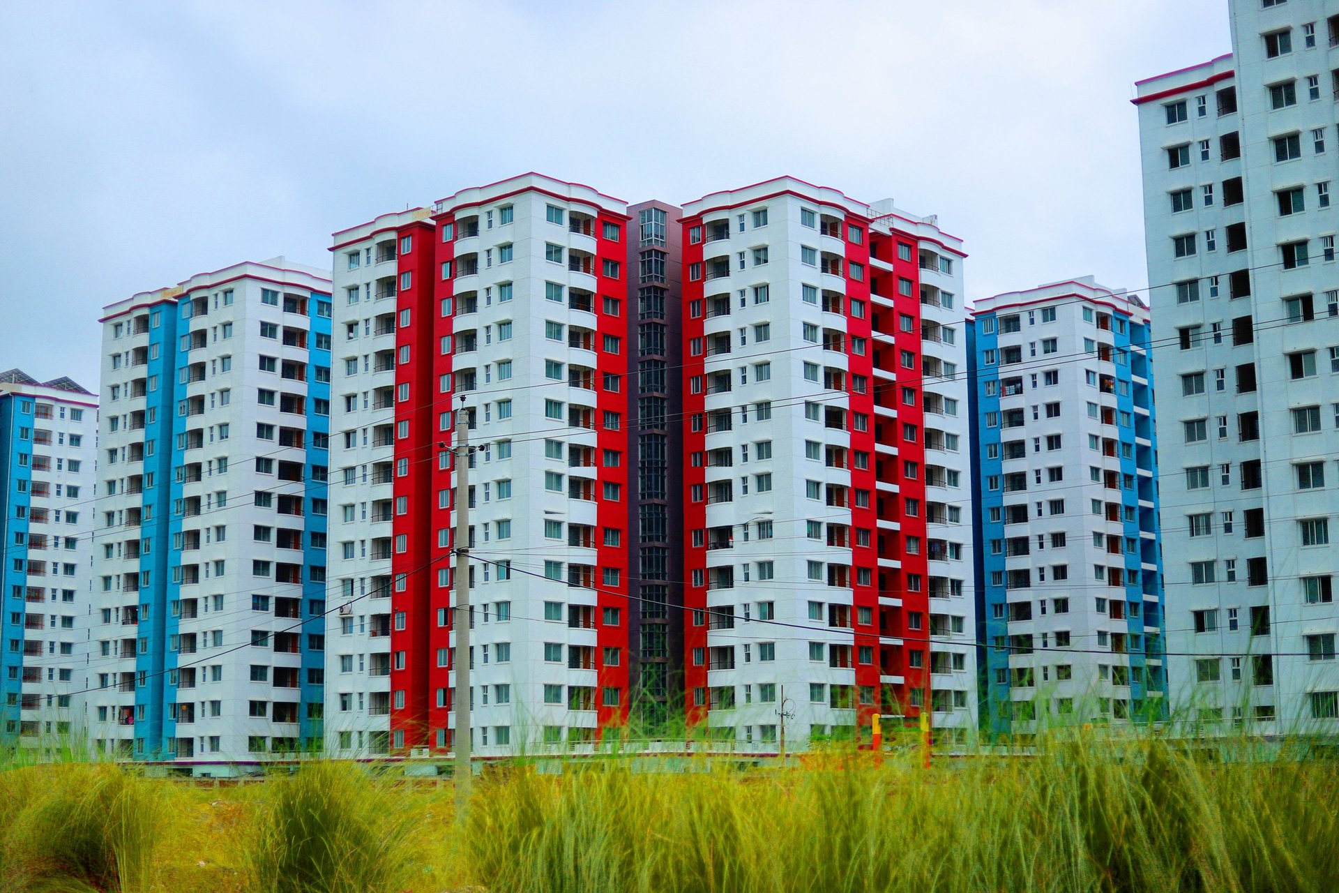 a row of multi - colored apartment buildings with tall grass in front of them