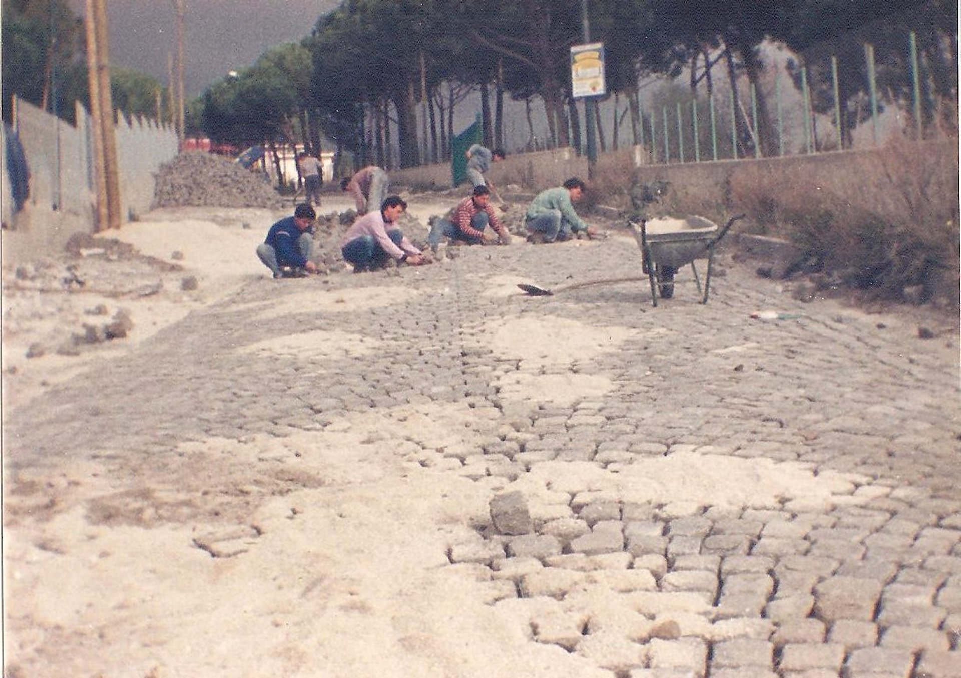 black blue and yellow textile