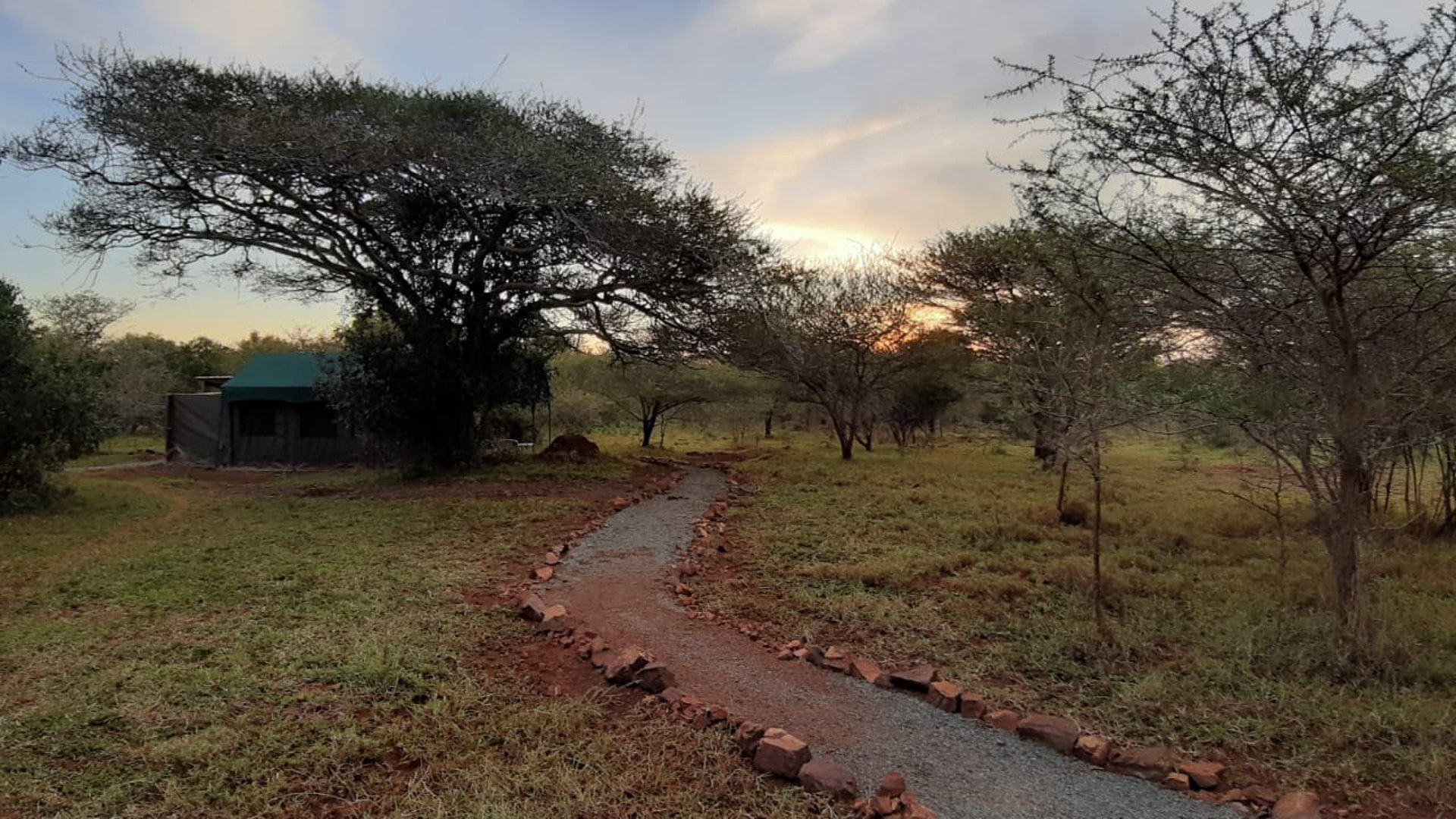 Albizia self catering safari tent accommodation in Hluhluwe