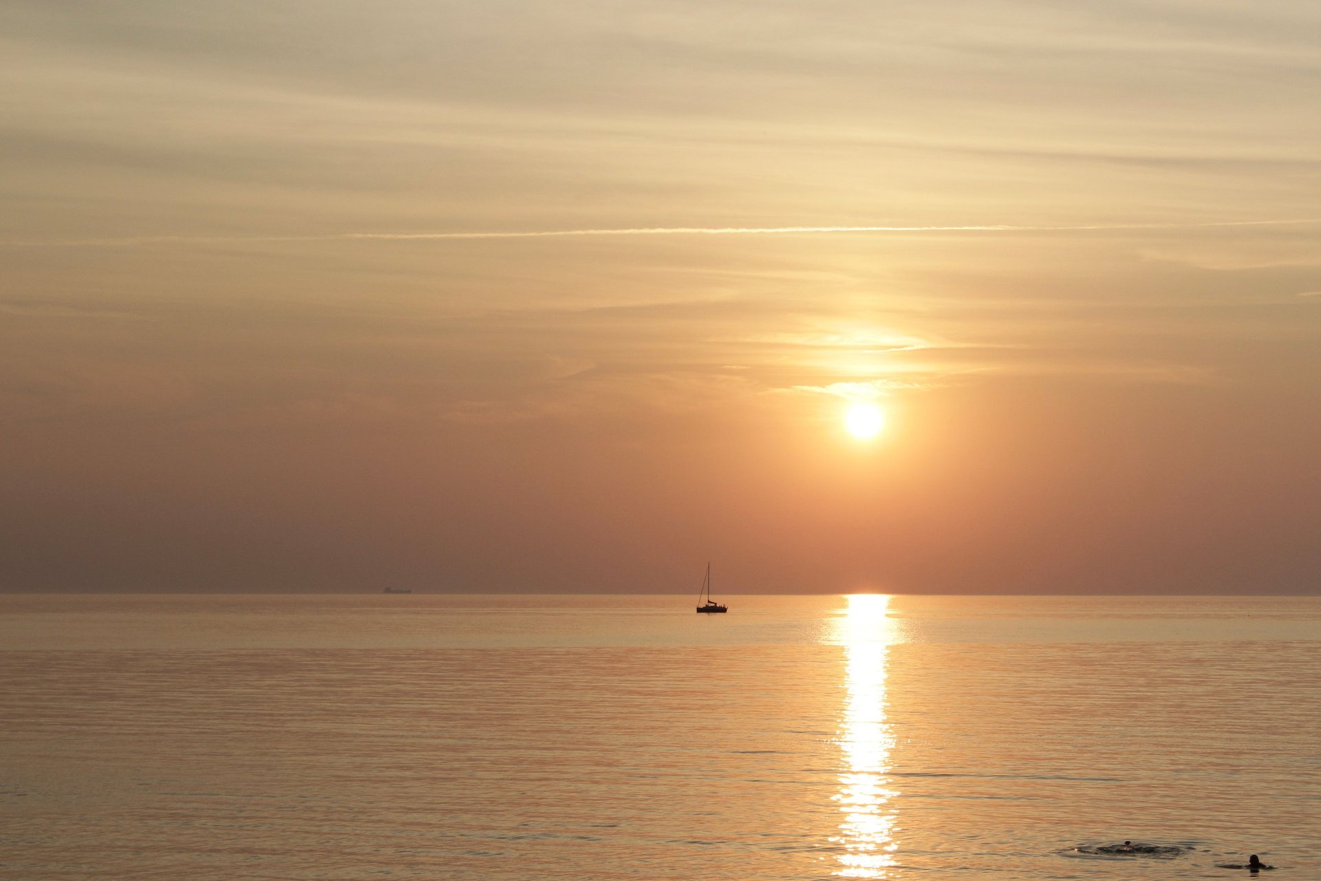 woman holding dried flower