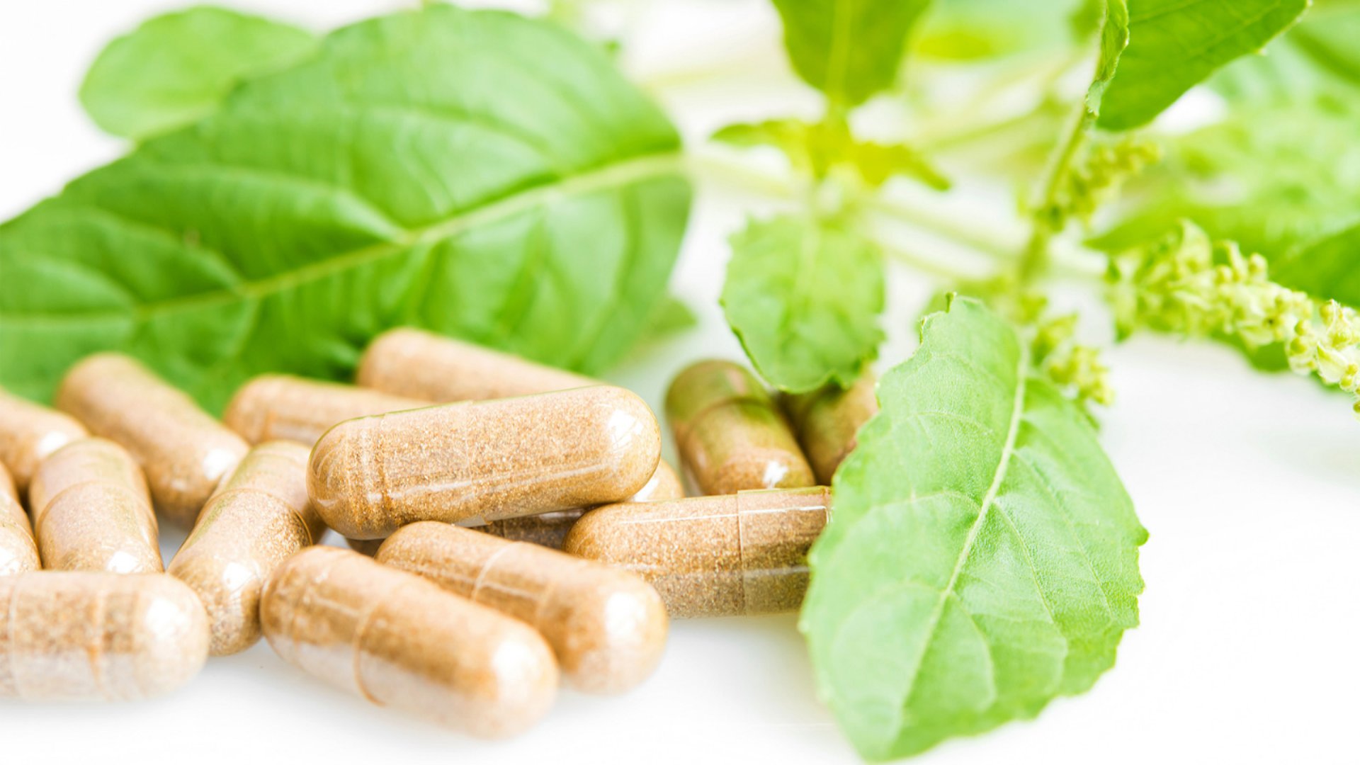 hepatitis medicine