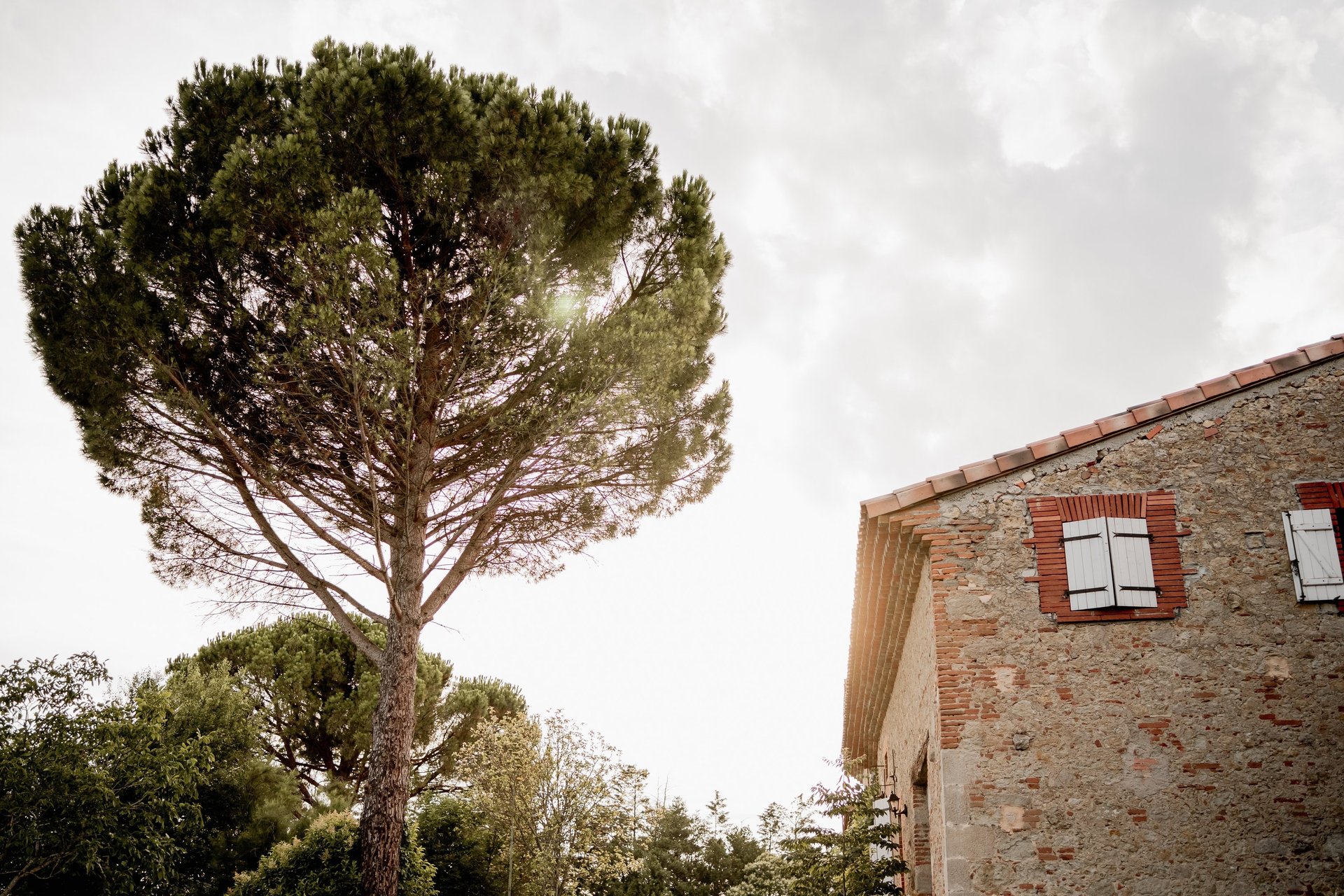 fleurs du jardin du domaine bourdale dufau près de pau