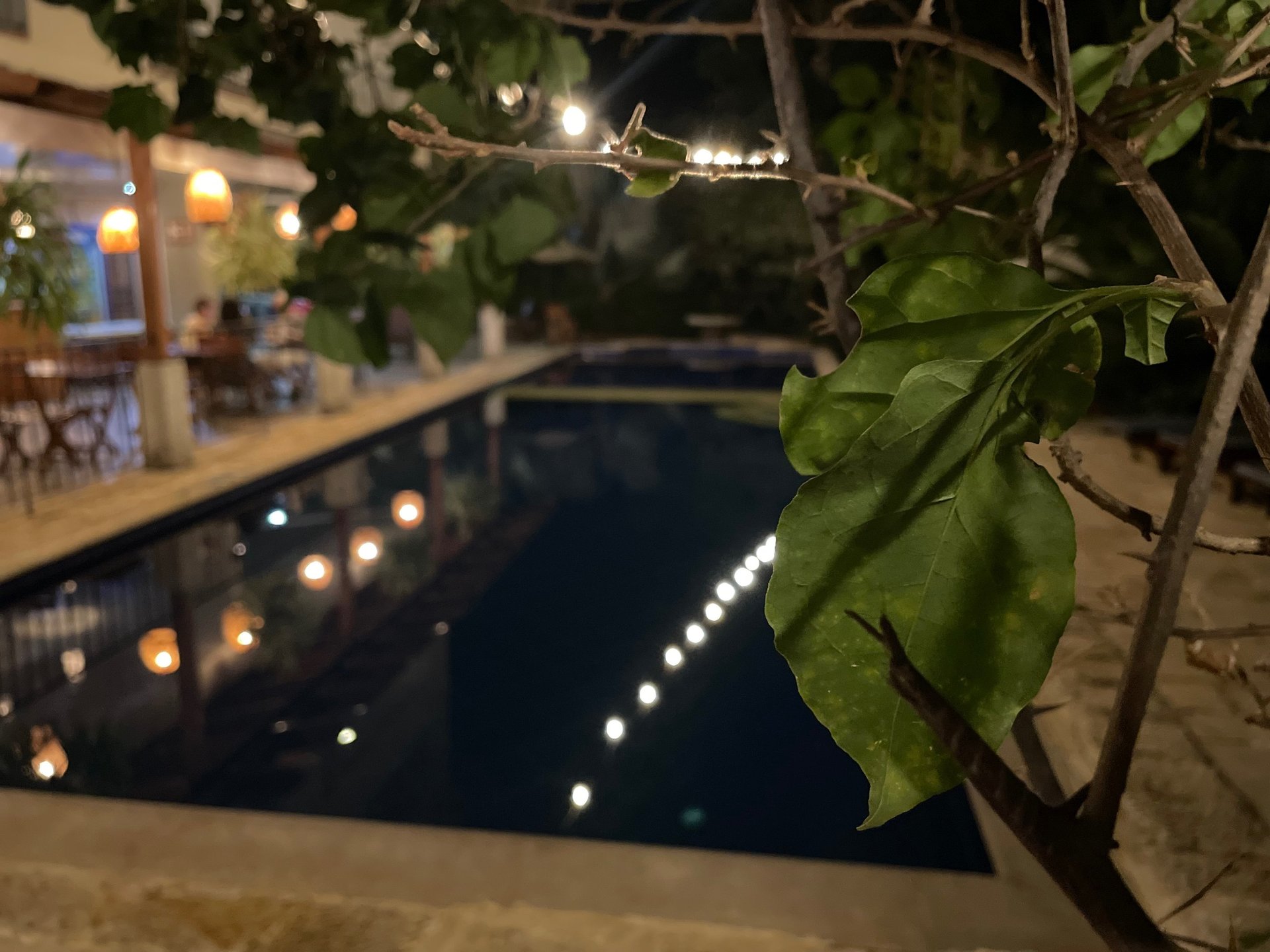 black and white bed linen