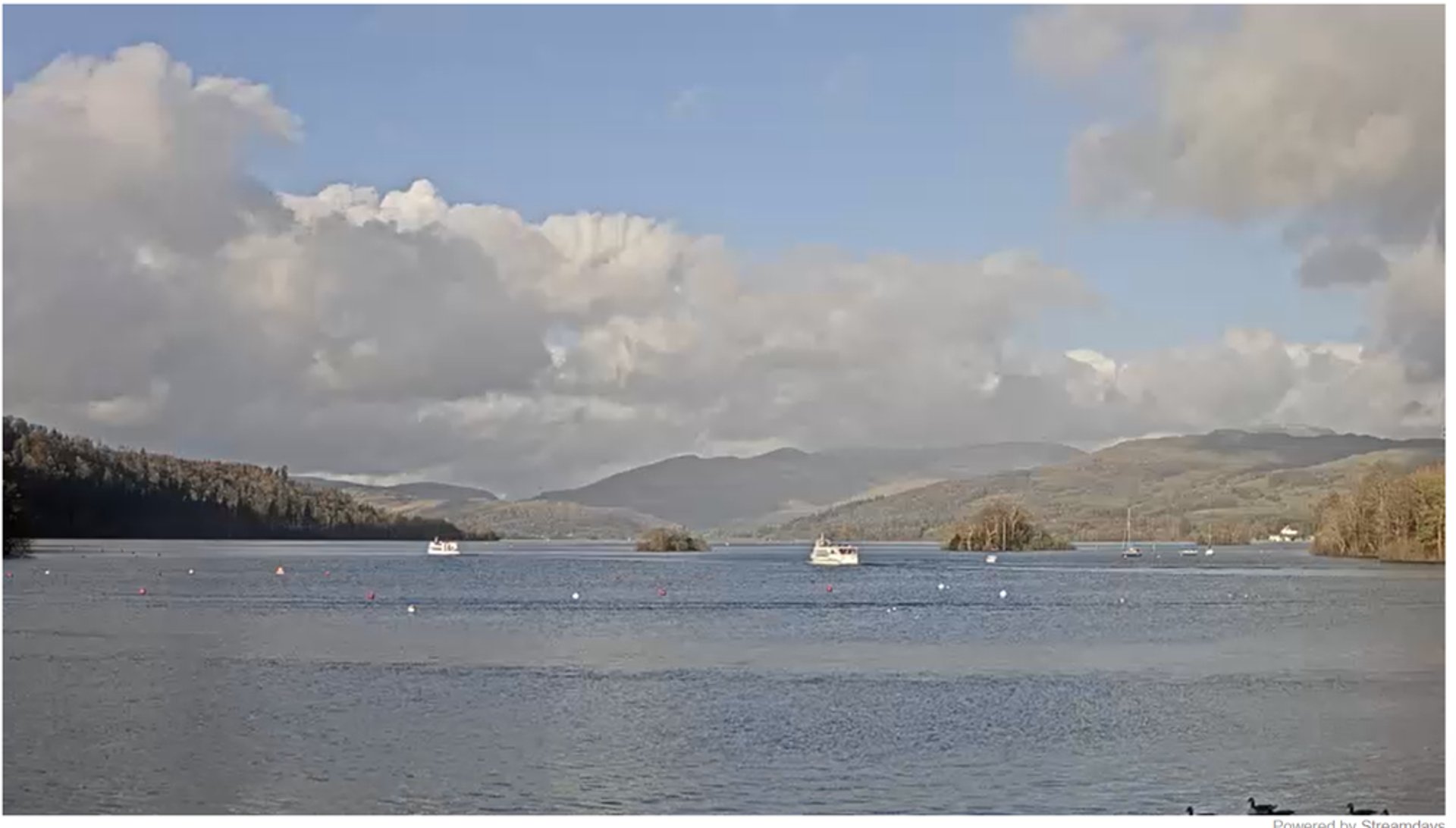 black blue and yellow textile