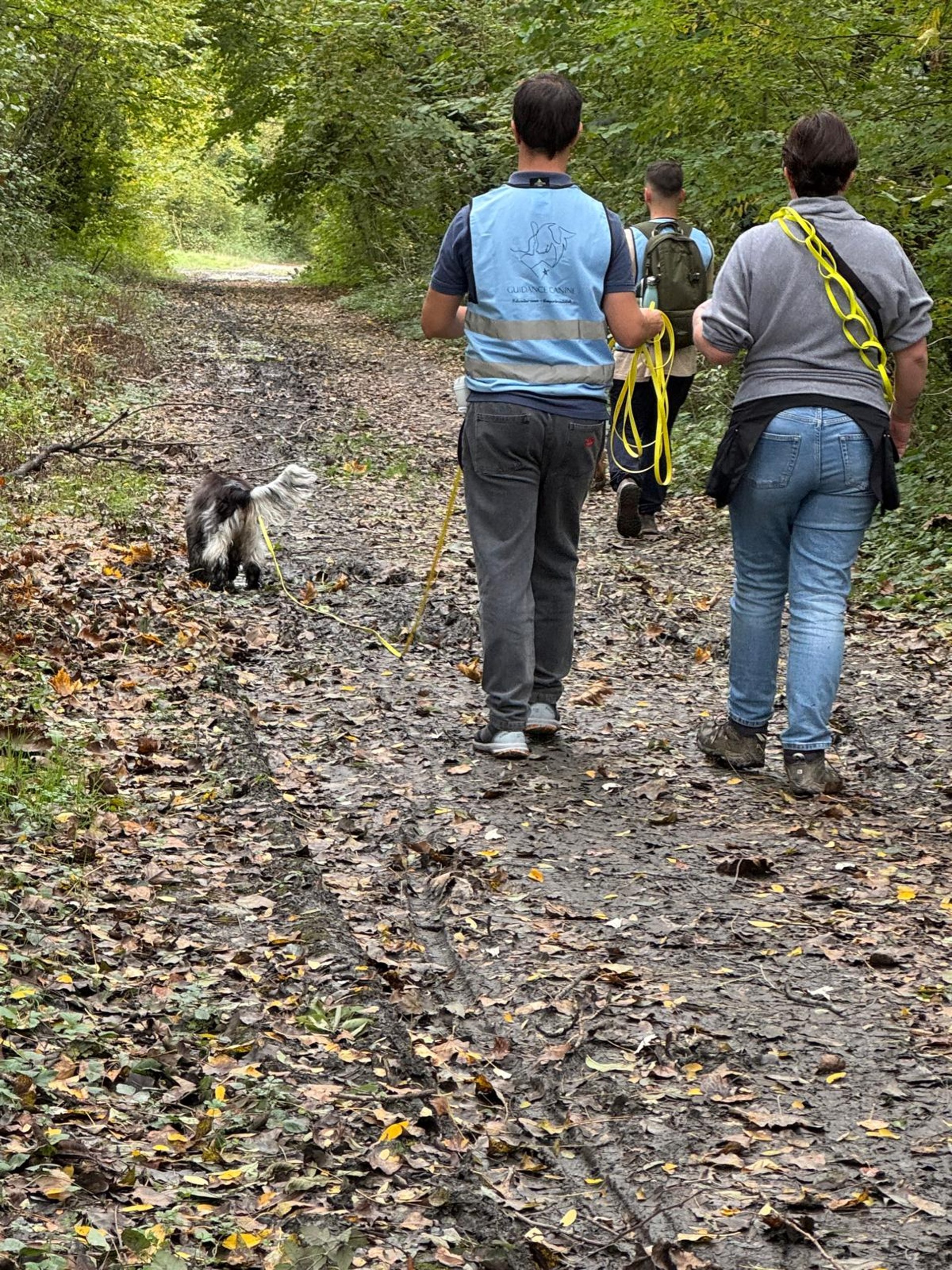 gray computer monitor