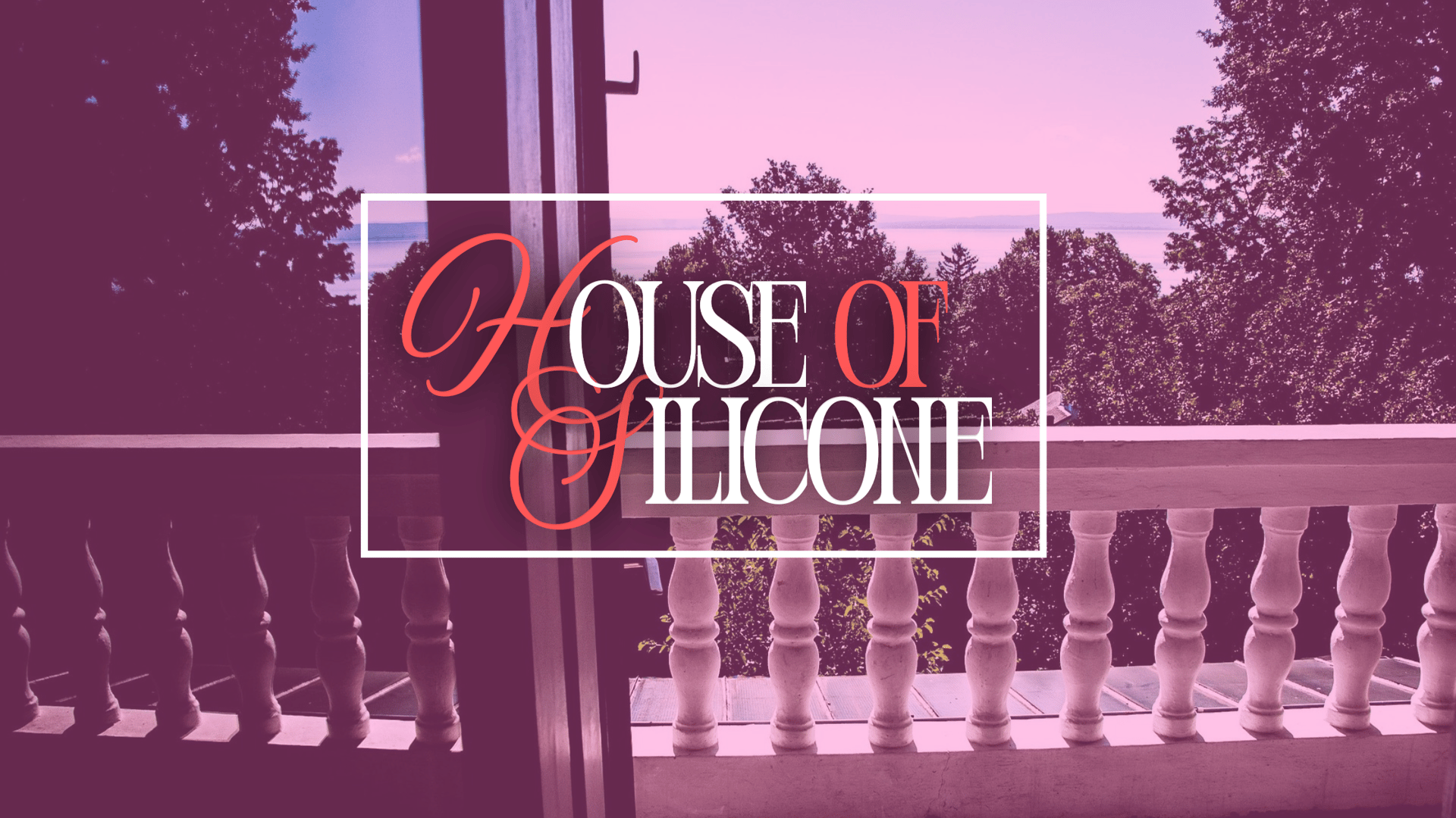 logo for House Of Silicone