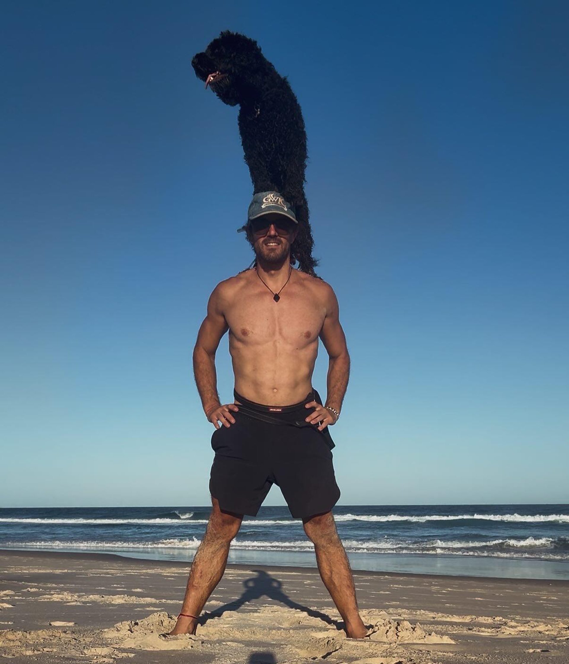 gray computer monitor