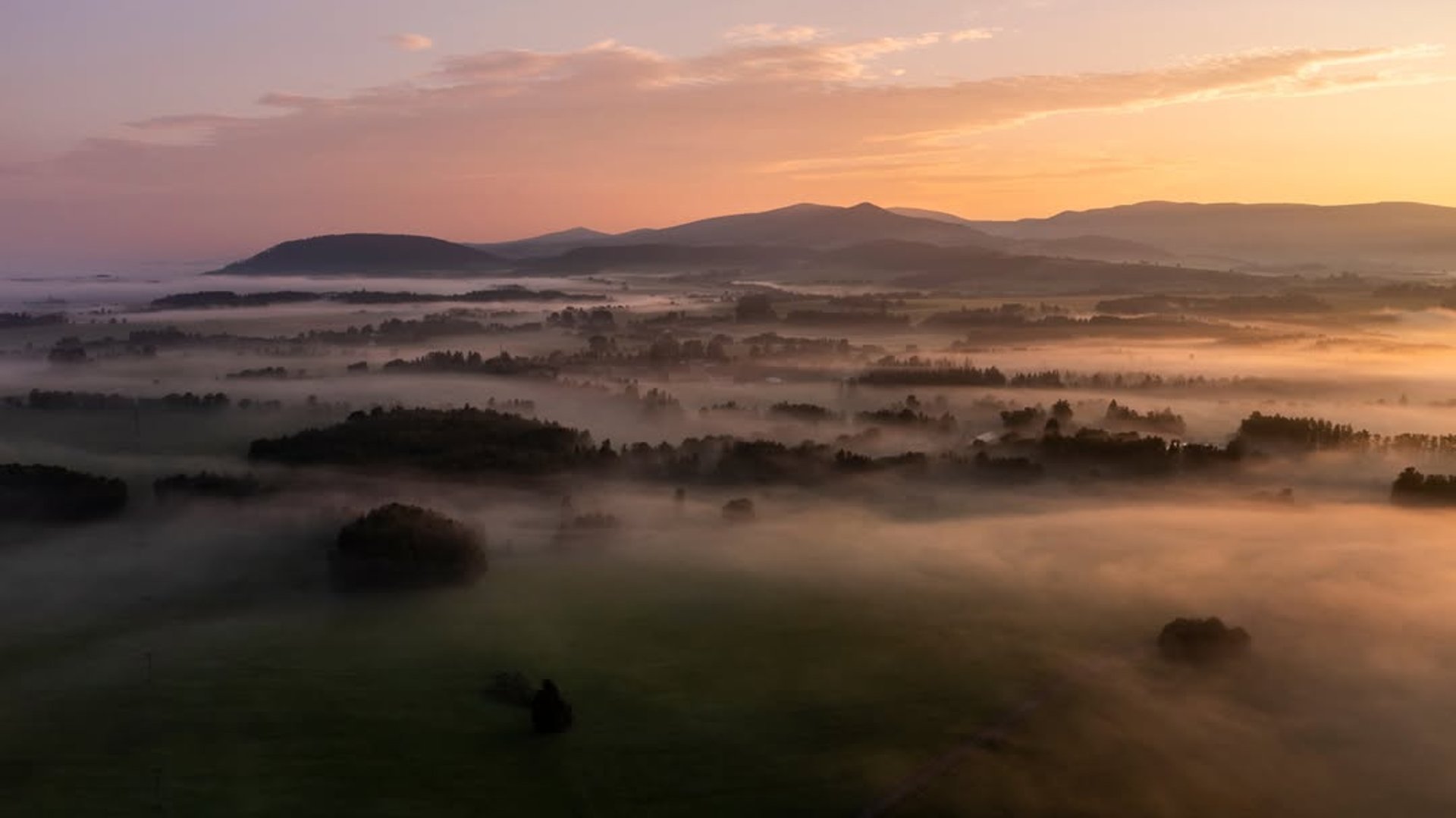 couple wearing silver-colored rings