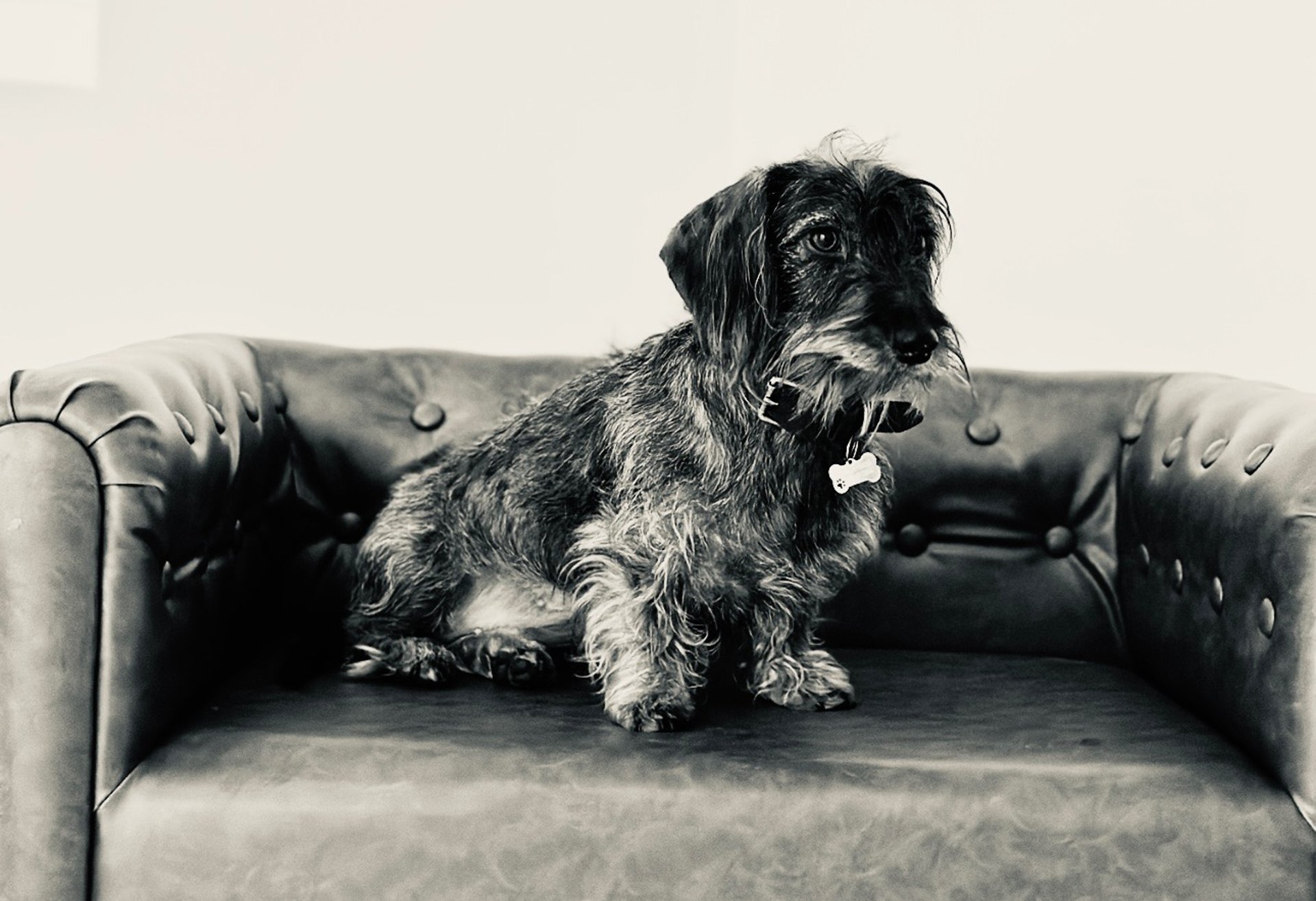 an abstract photo of a curved building with a blue sky in the background