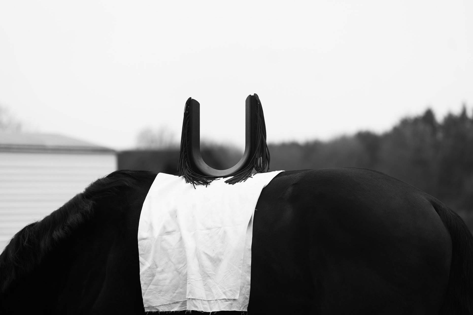 black and white bed linen