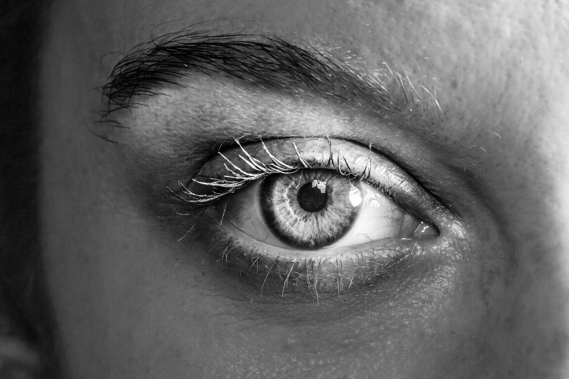 focus eye of human