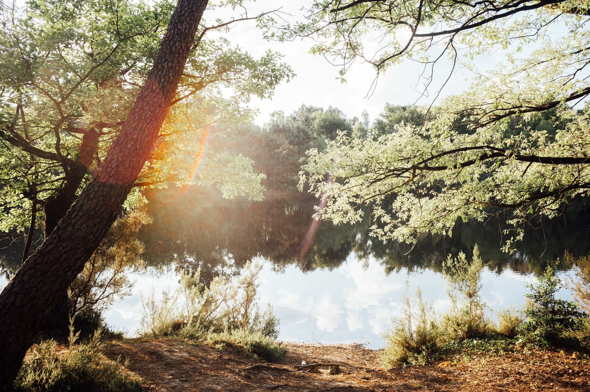 mountain range under blue sky