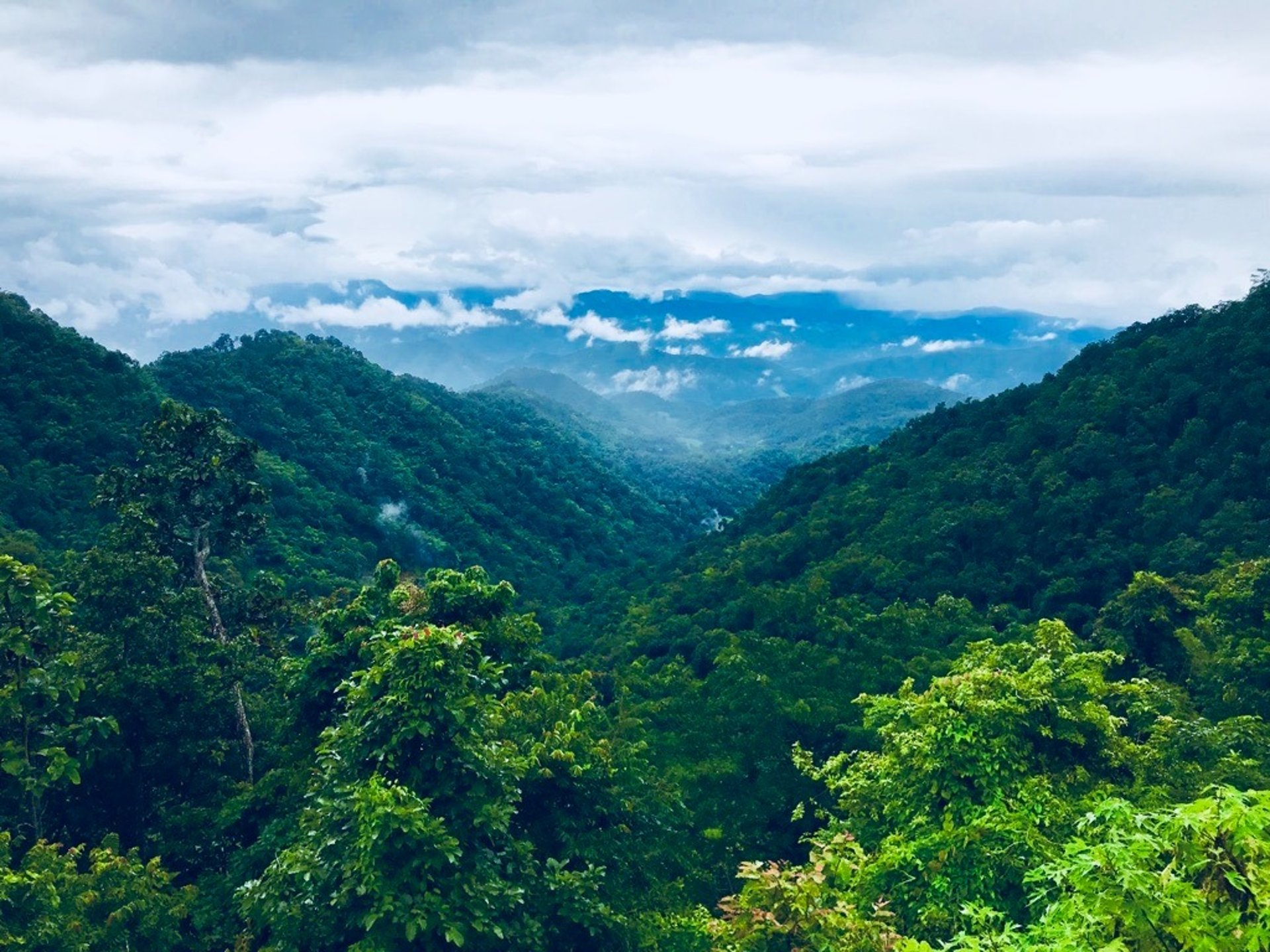 an abstract photo of a curved building with a blue sky in the background
