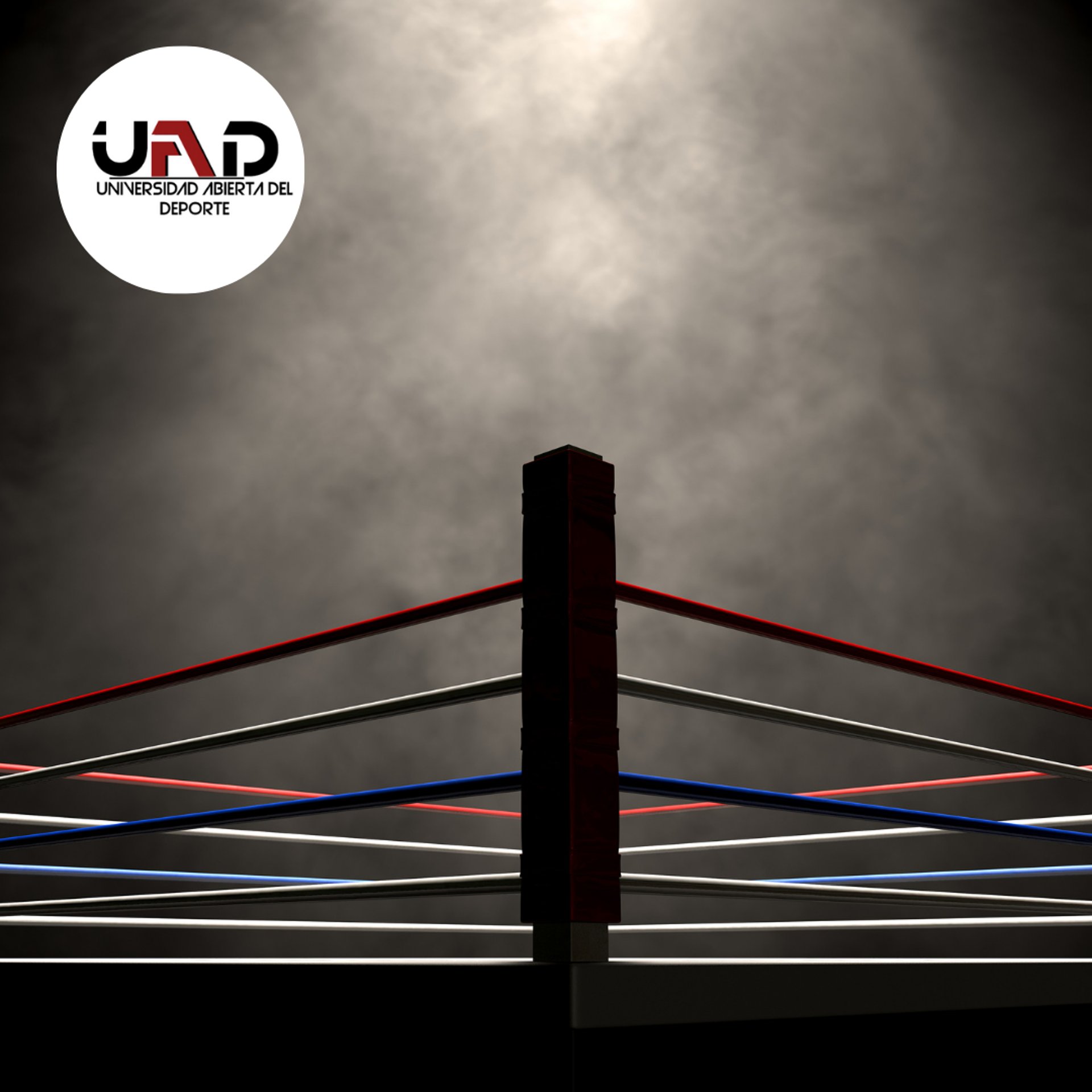 black and brown leather padded tub sofa