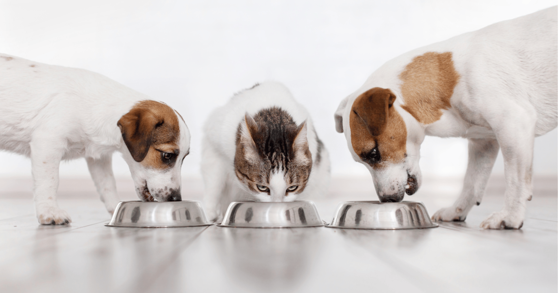 woman wearing yellow long-sleeved dress under white clouds and blue sky during daytime