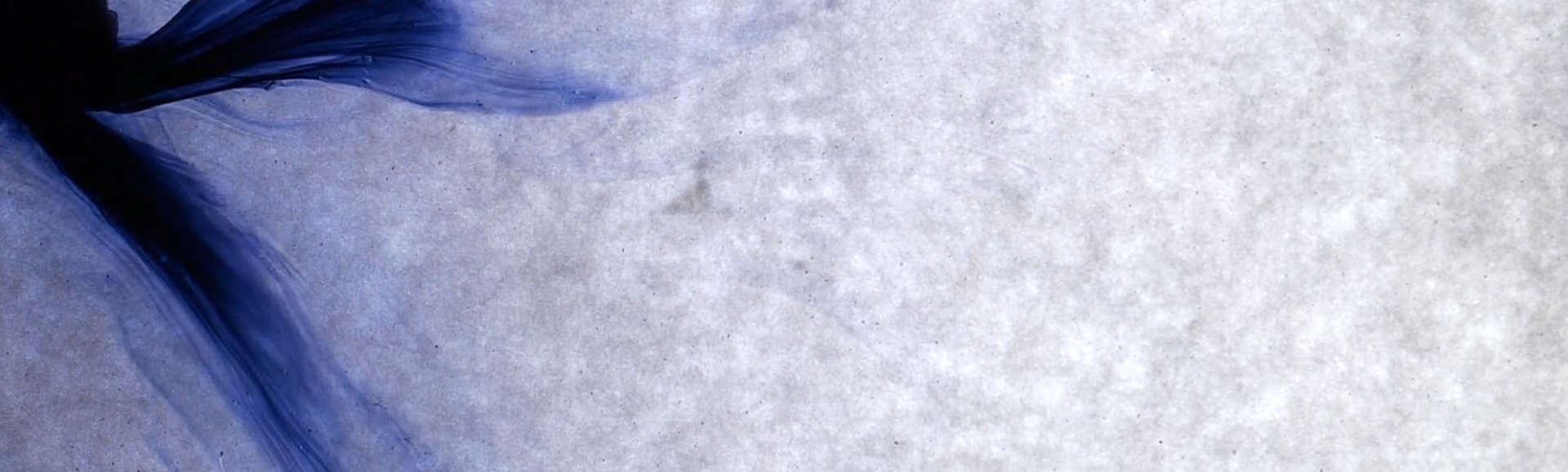 a heart shaped piece of oatmeal on a table