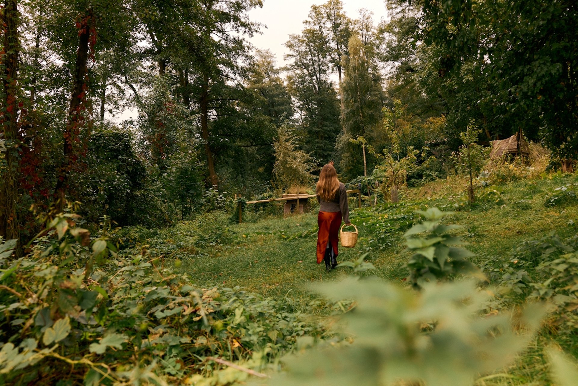 mountain range under blue sky