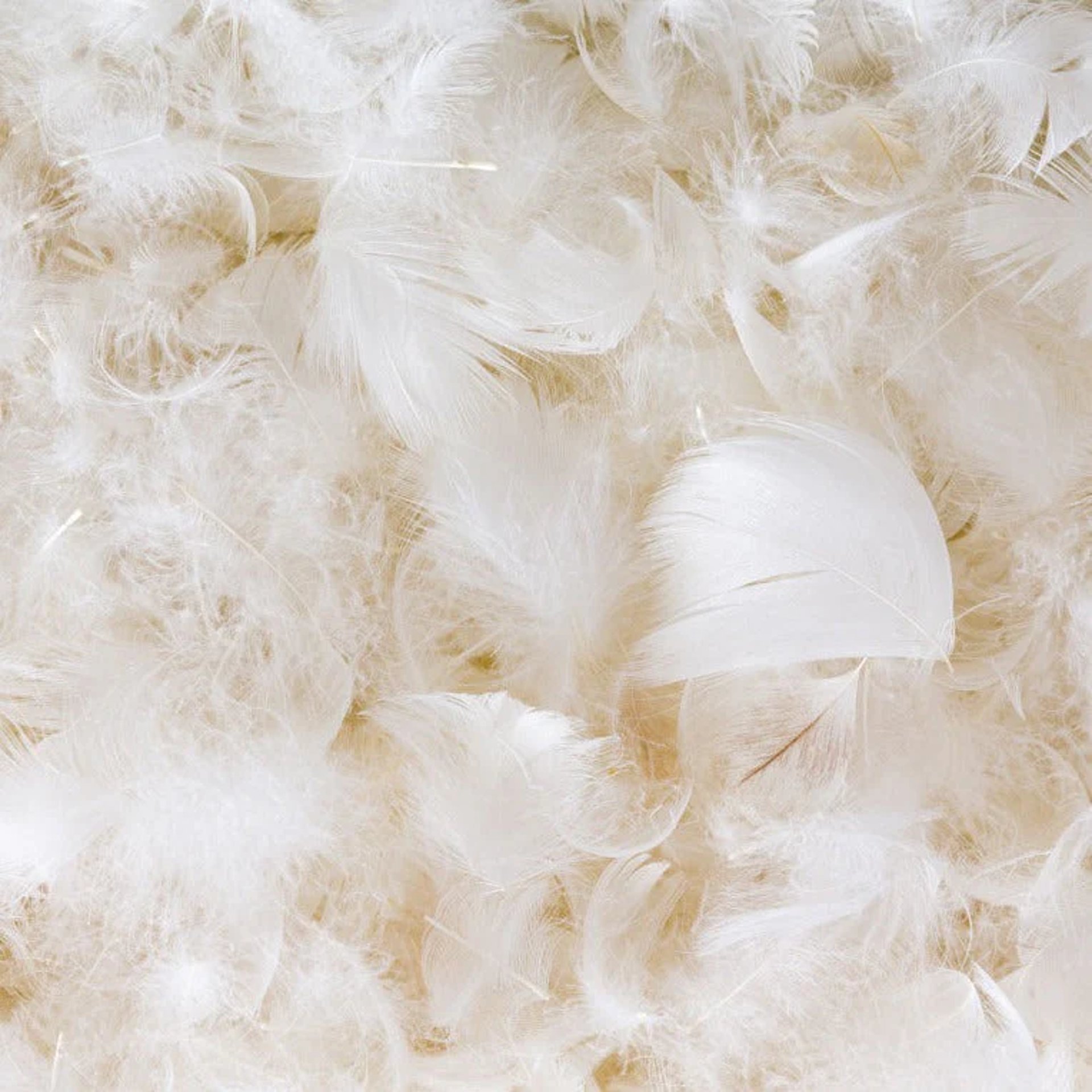 pink, yellow, and purple cloudy sky